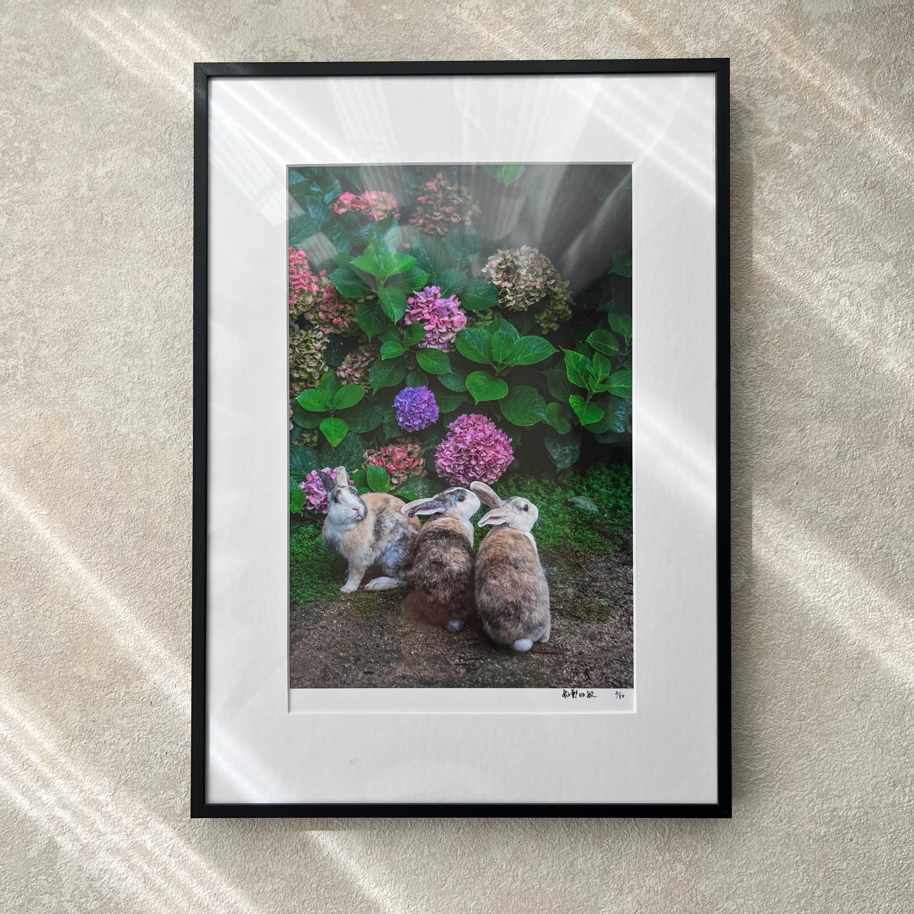 攝影藝術微噴原作 - 《觀望》 2/50｜霧黑鋁框