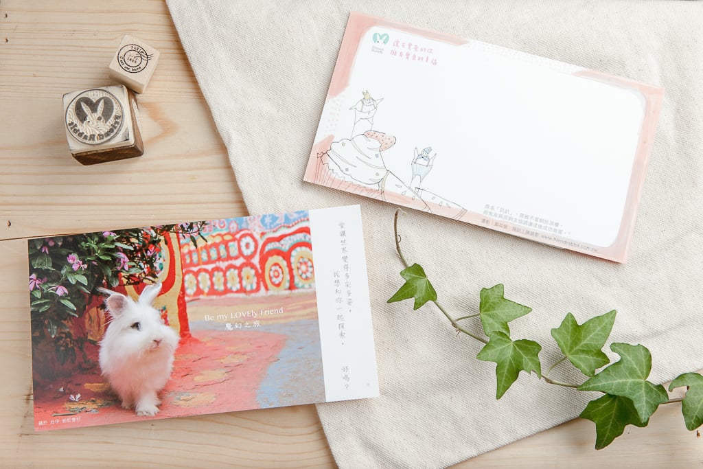 兔子攝影插畫明信片 - 《魔幻之旅》