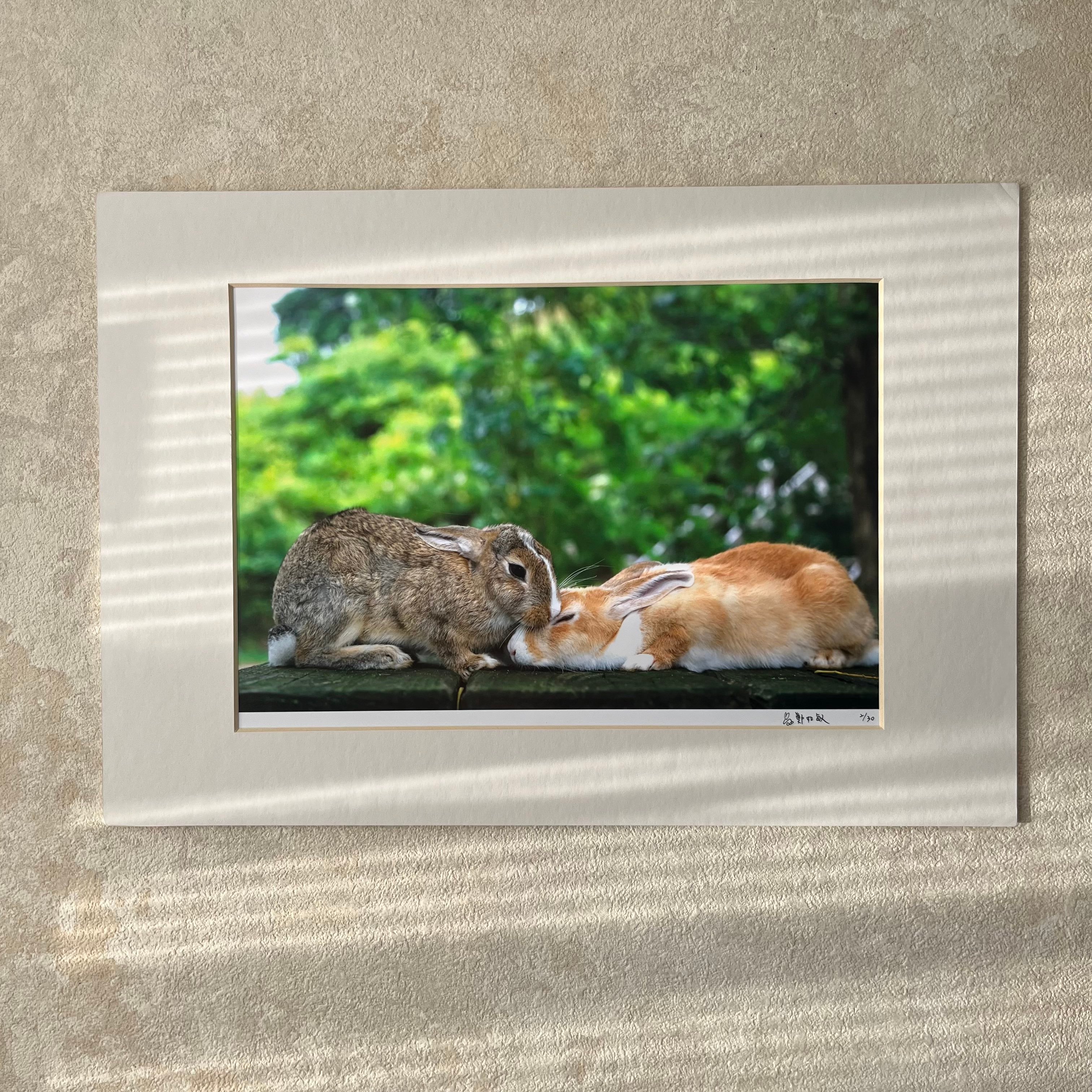 攝影藝術微噴原作 - 《親親》2/50