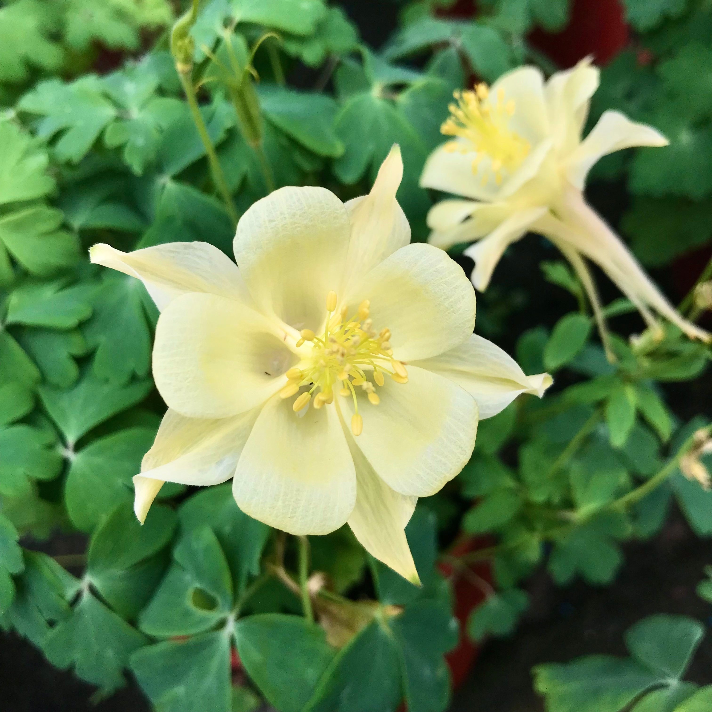 新上架 ❙ 攝影藝術