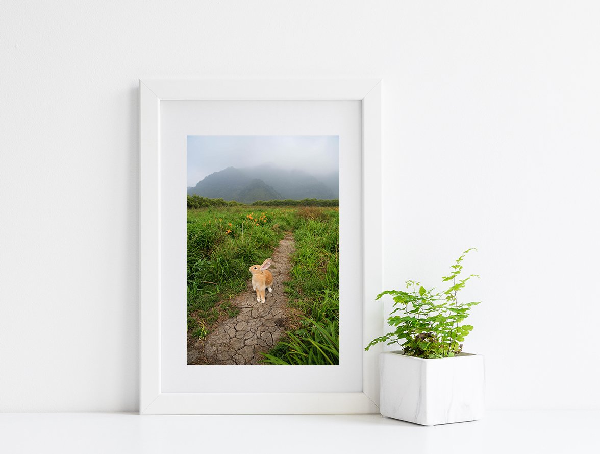 攝影藝術微噴原作 - 《未知局面》