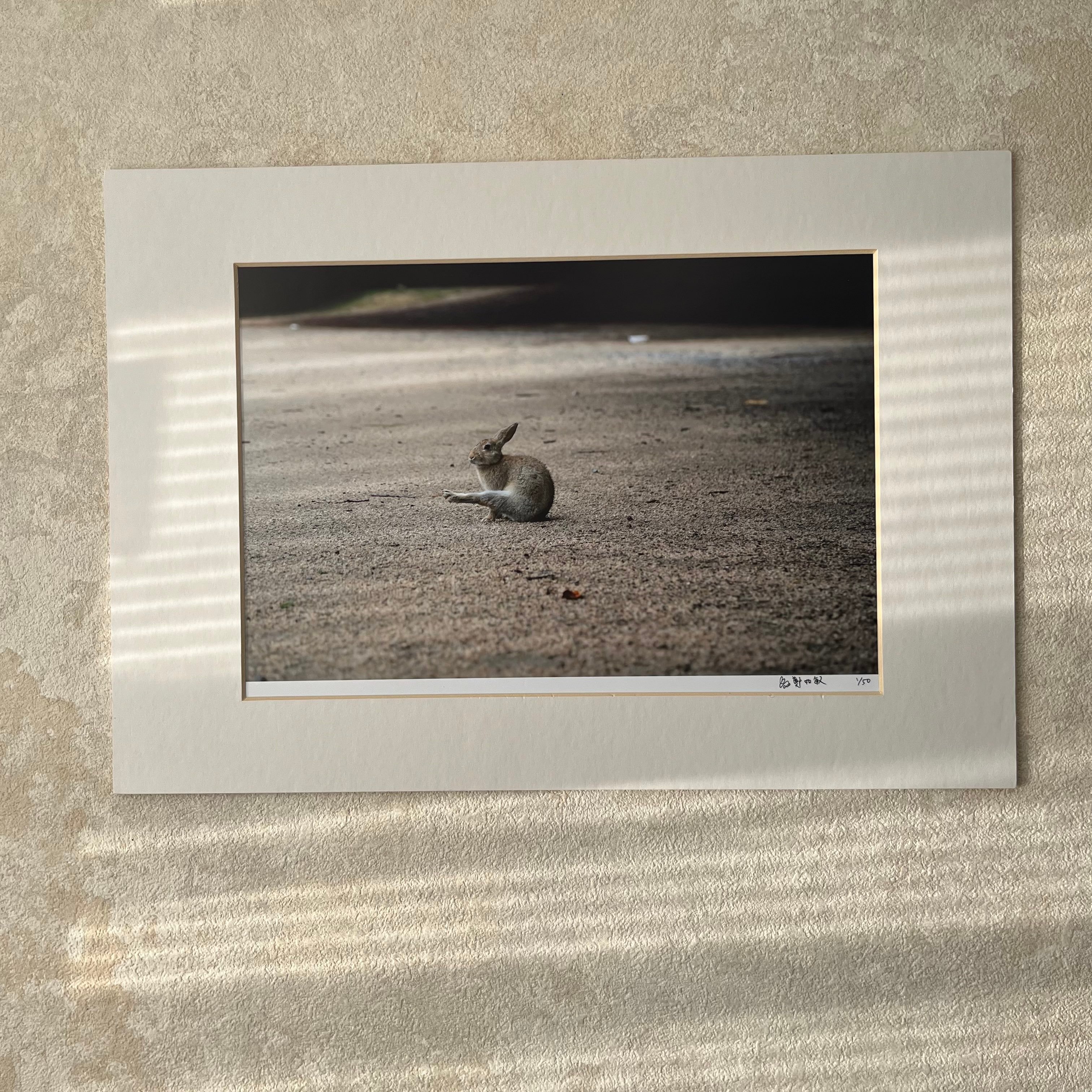 攝影藝術微噴原作 - 《獨舞》1/50