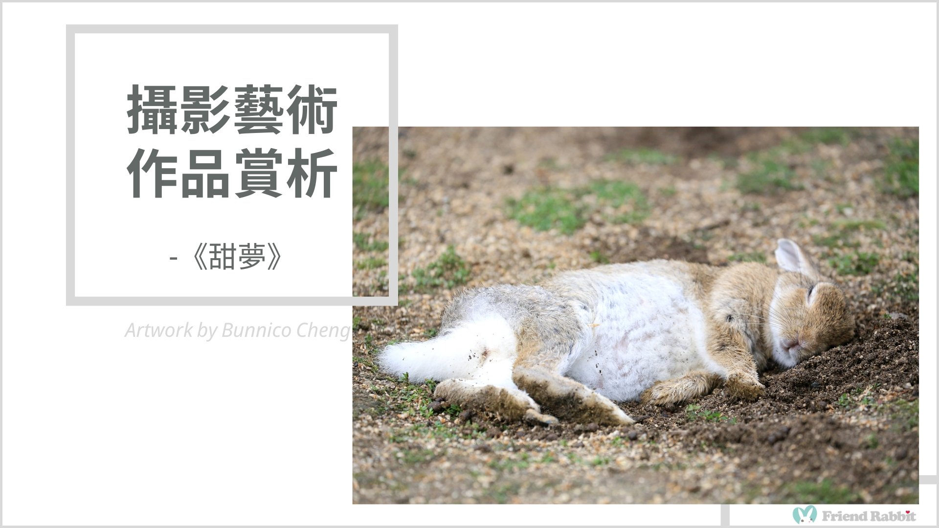 攝影藝術作品賞析 - 《甜夢》