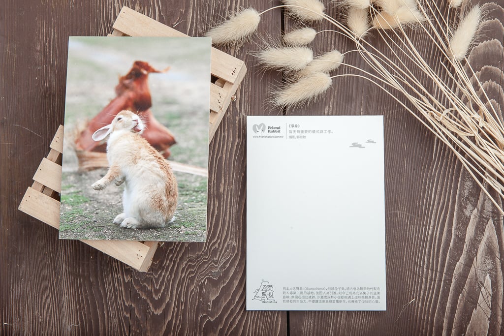 兔子攝影明信片- 《淨身》