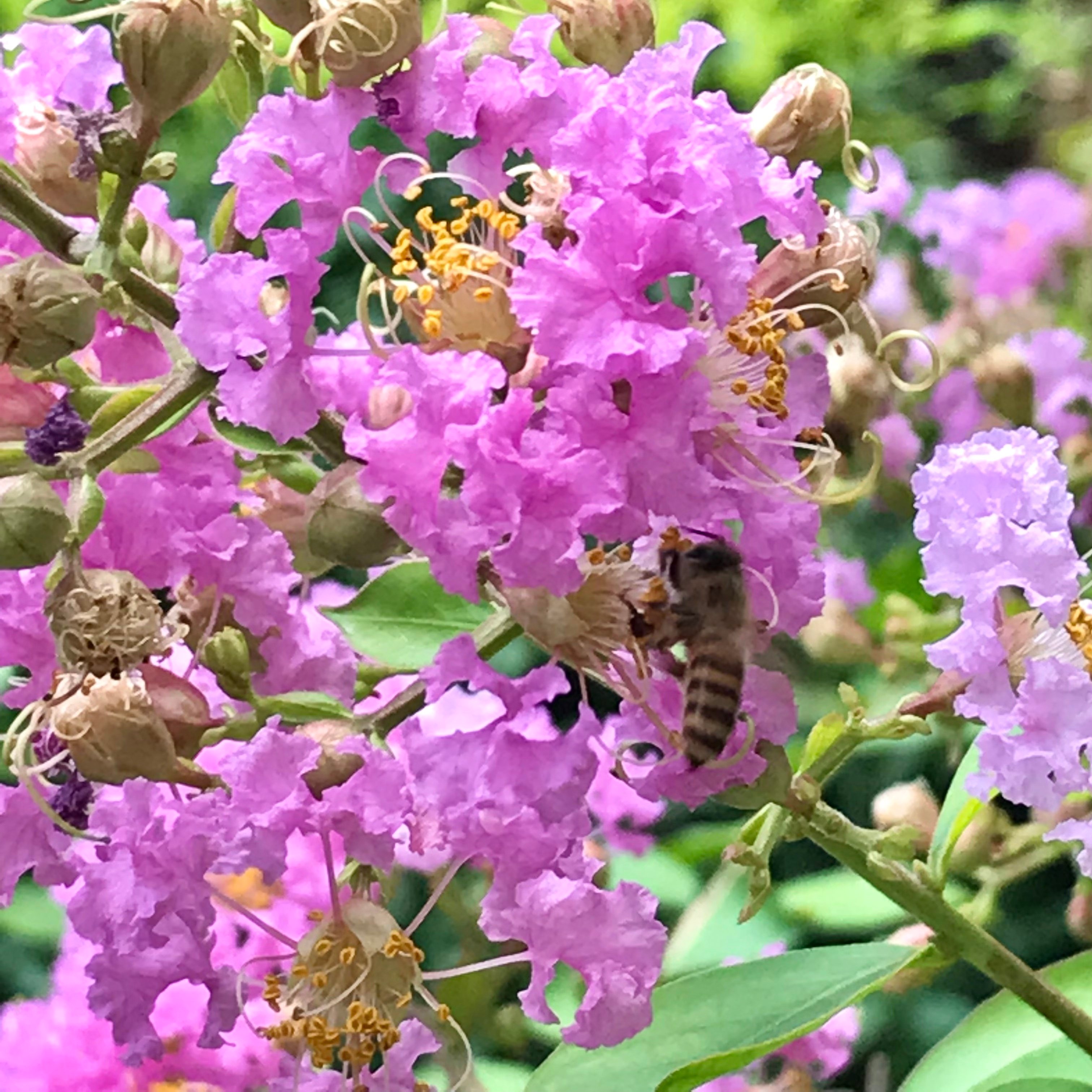 新上架 ❙  植栽設計
