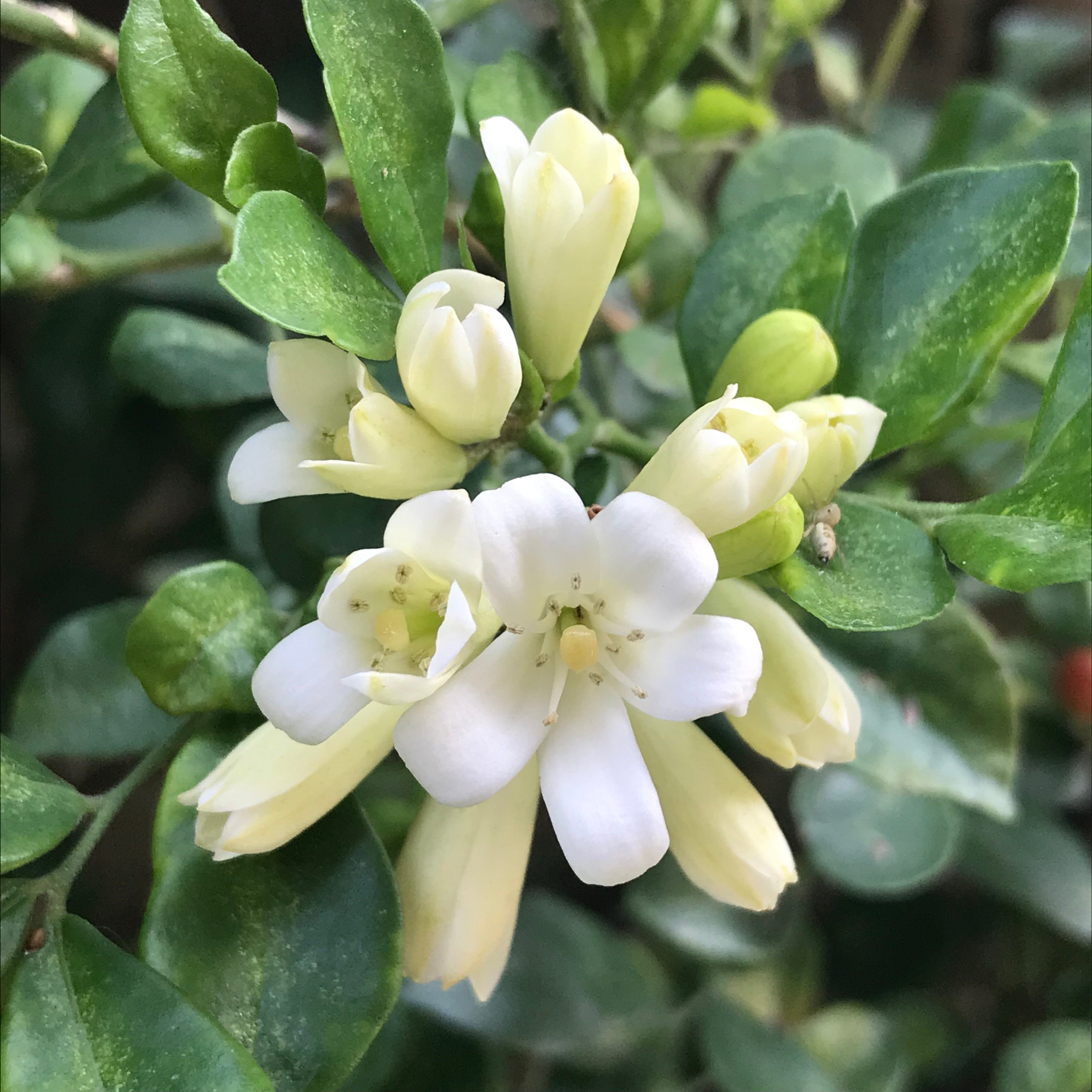 新上架 ❙ 生活系列