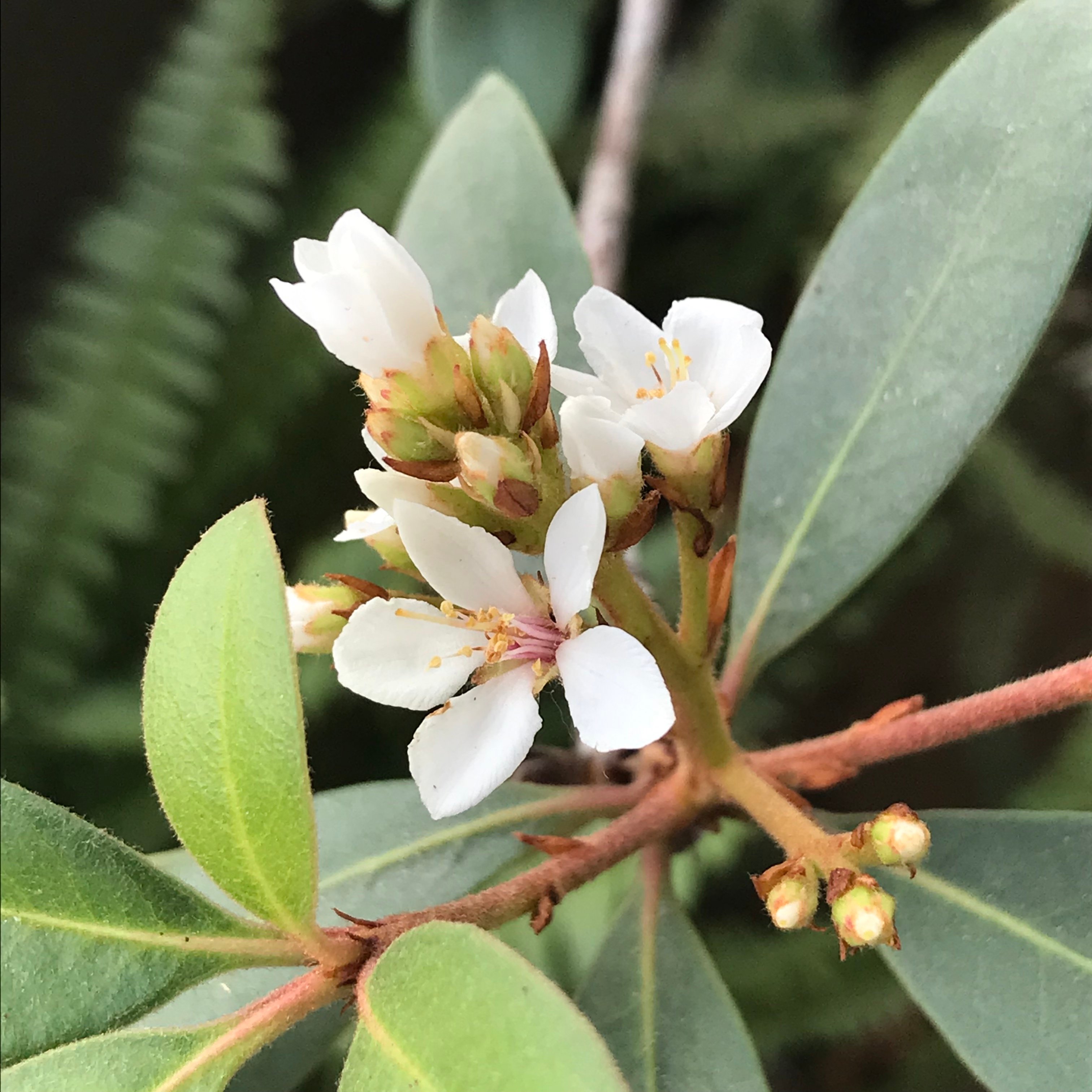 新上架 ❙  植栽設計