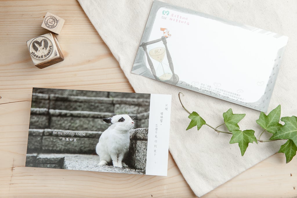 兔子攝影插畫明信片 - 《依舊盼望》