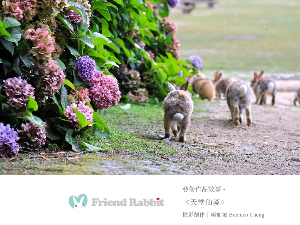 攝影藝術作品賞析 - 《天堂仙境》