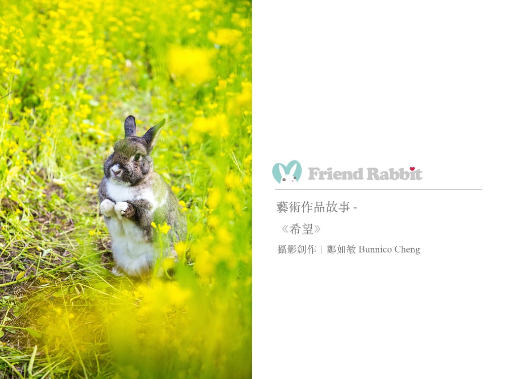 攝影藝術作品賞析 - 《希望》