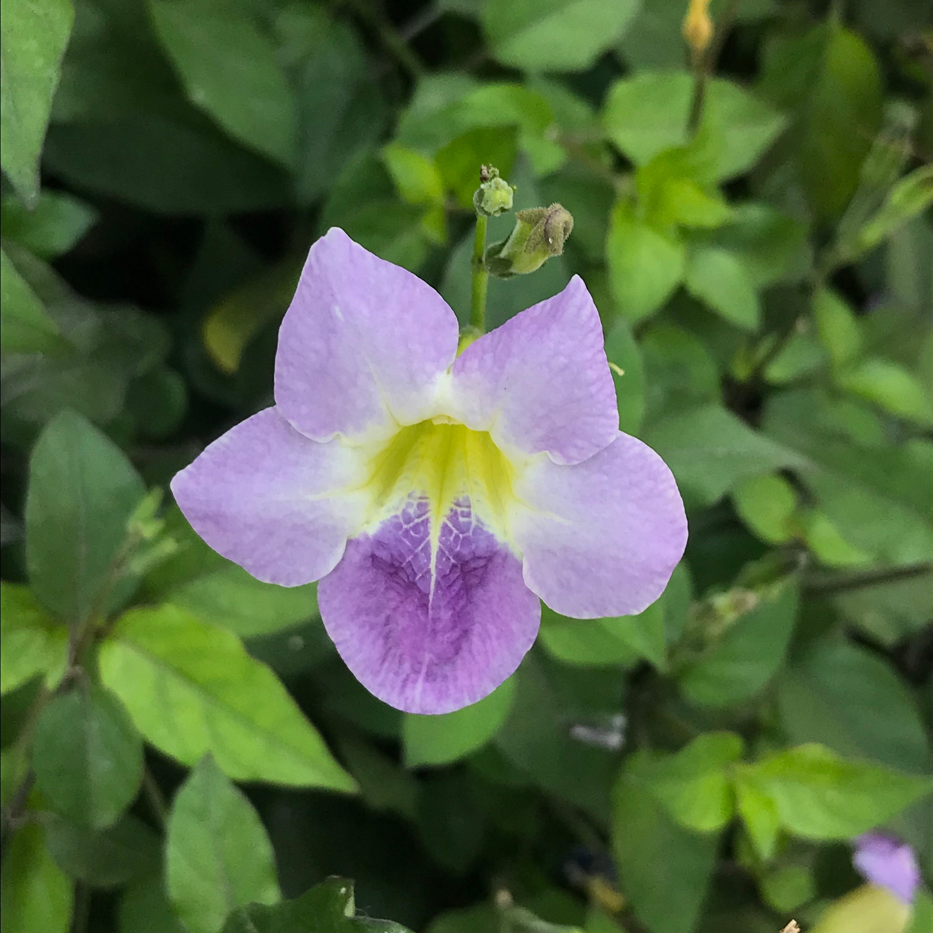 新上架 ❙  攝影藝術