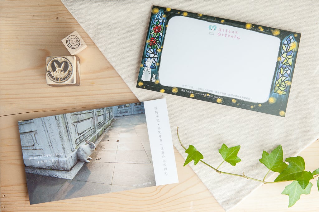 兔子攝影插畫明信片 - 信念的力量