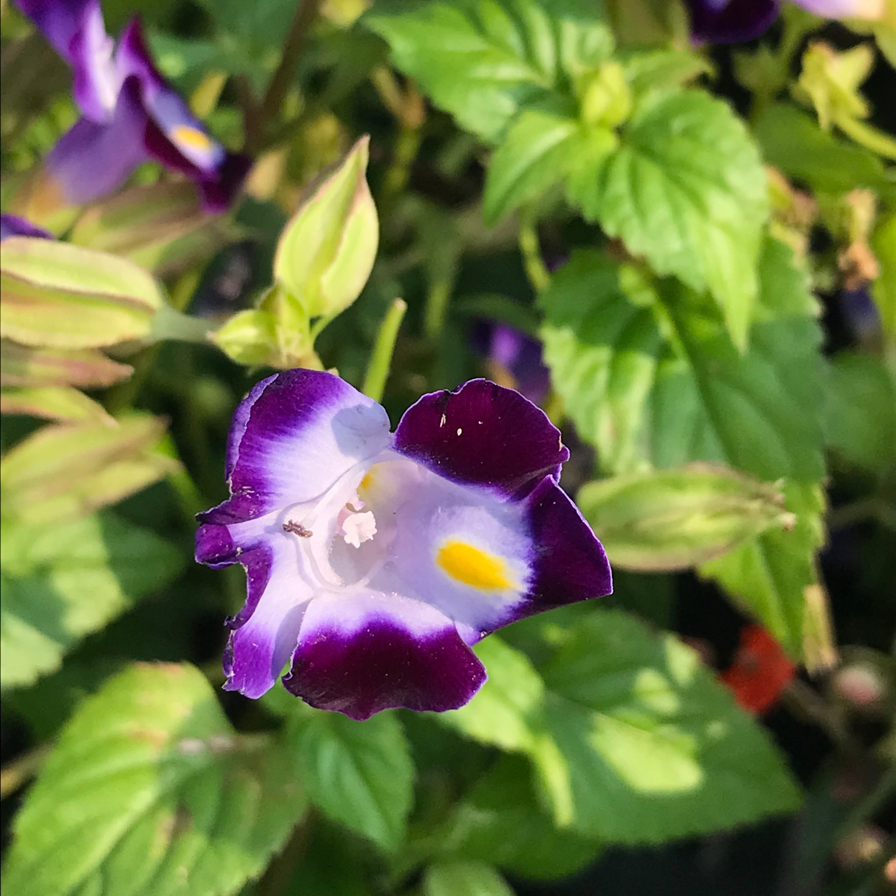 新上架 ❙  攝影藝術