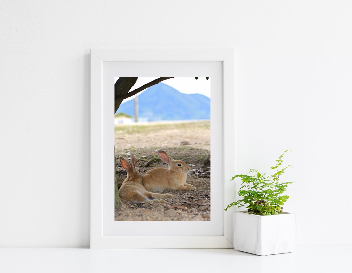 攝影藝術微噴原作 - 《有你真好》