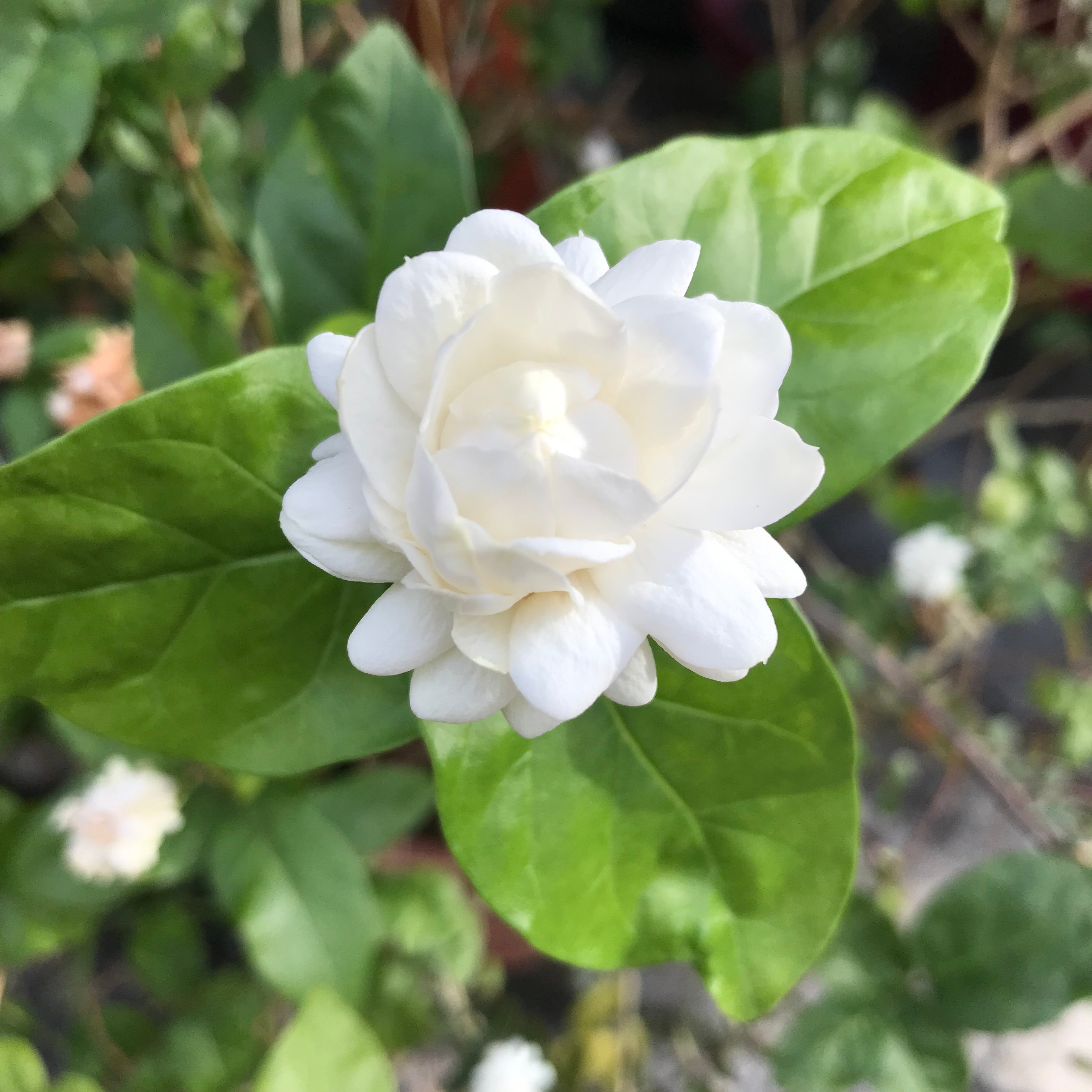 新上架 ❙  書籍