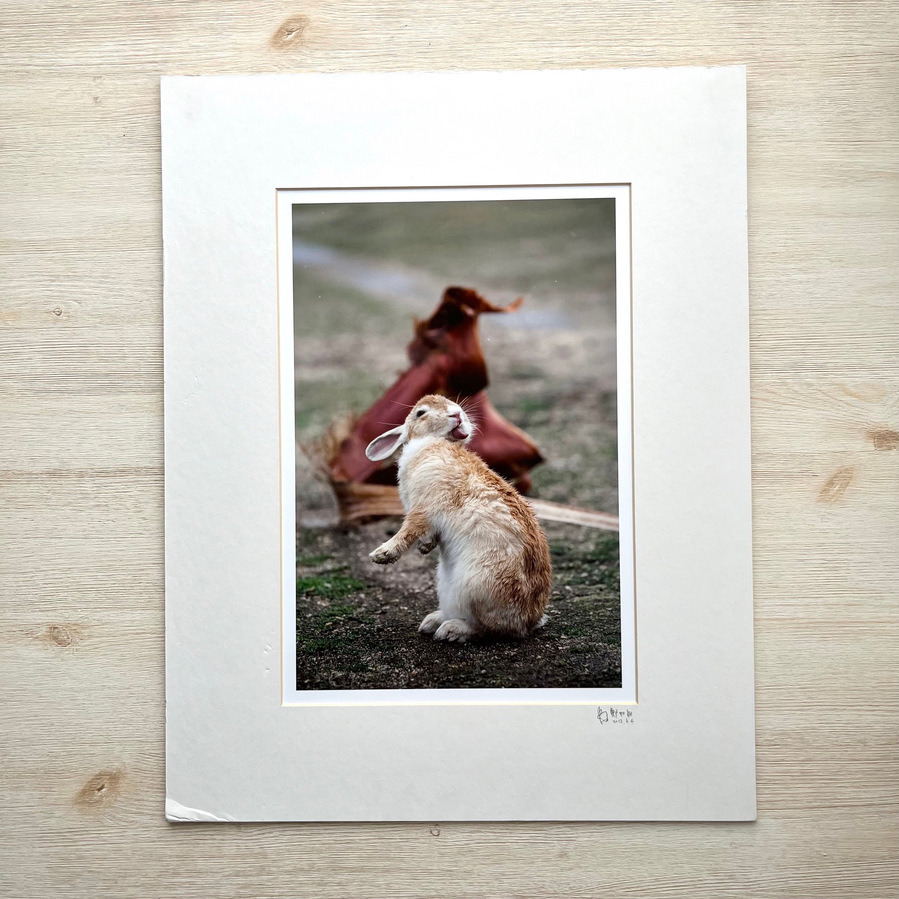 攝影藝術微噴福利品 - 09