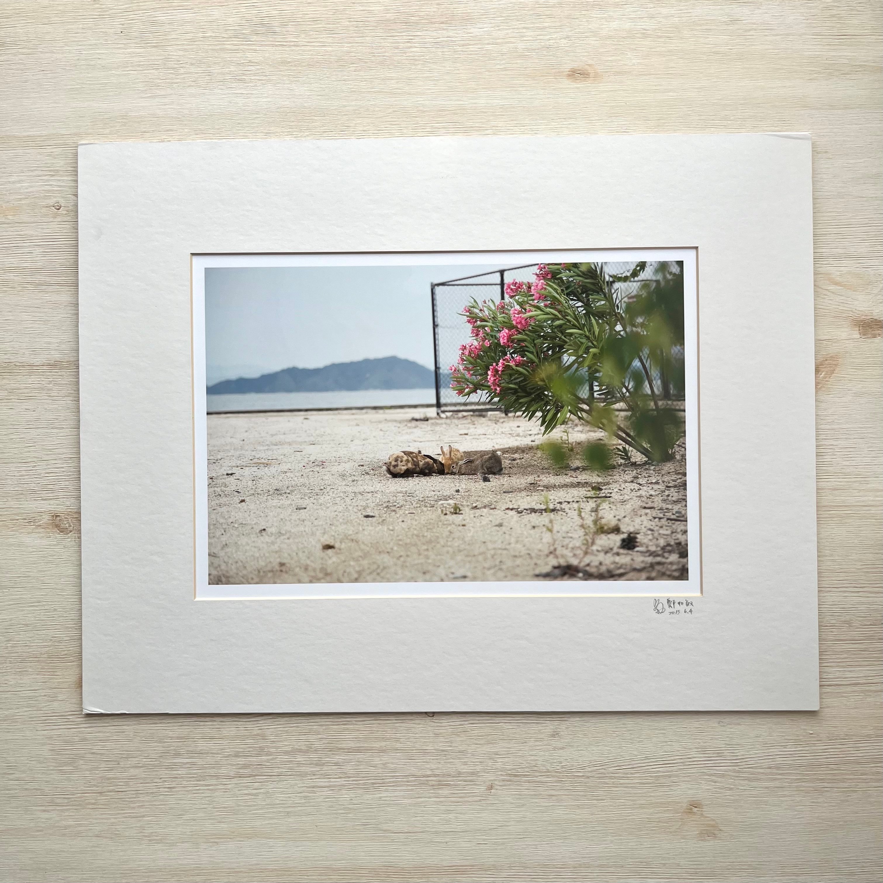 攝影藝術微噴福利品 - 14