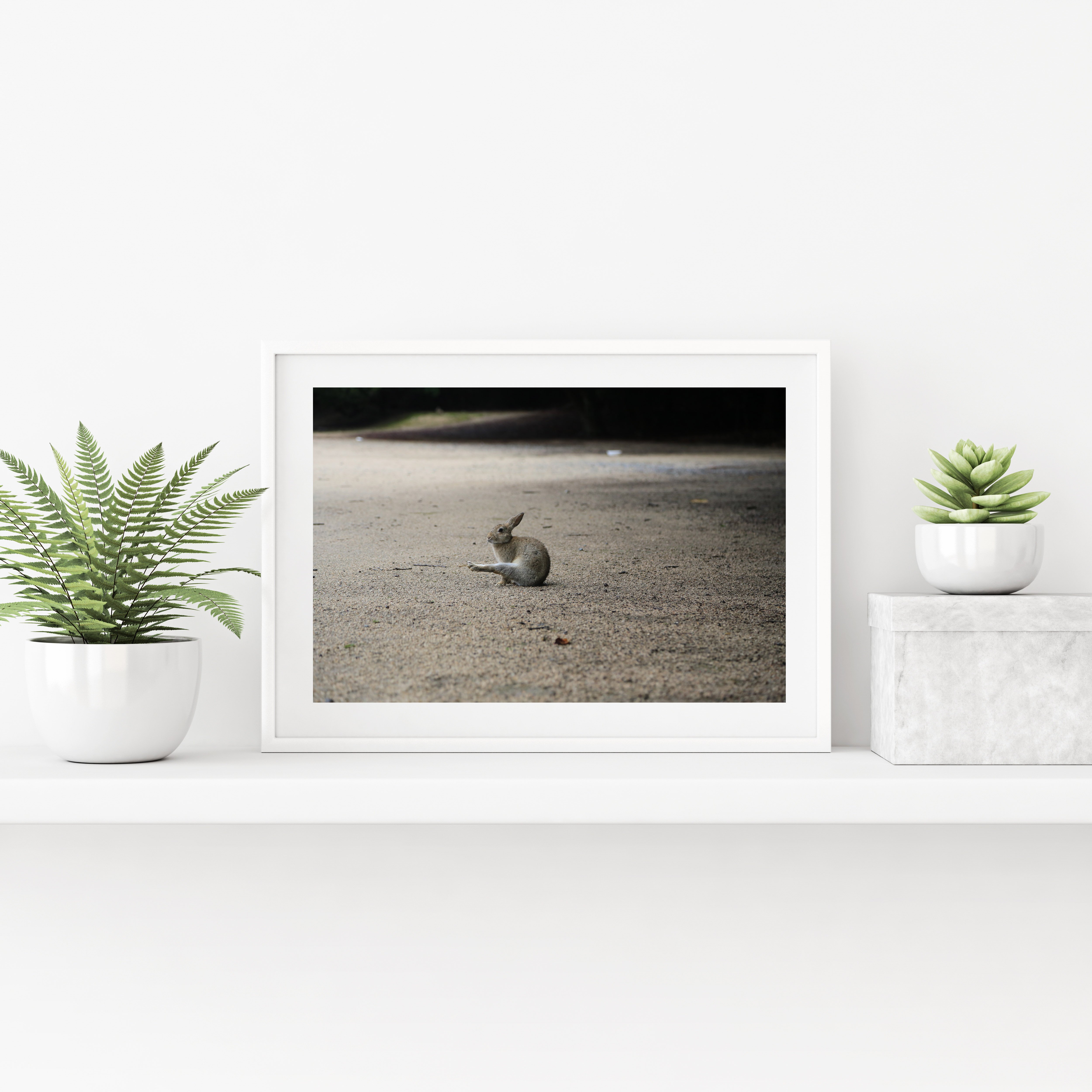 攝影藝術微噴原作 - 《獨舞》