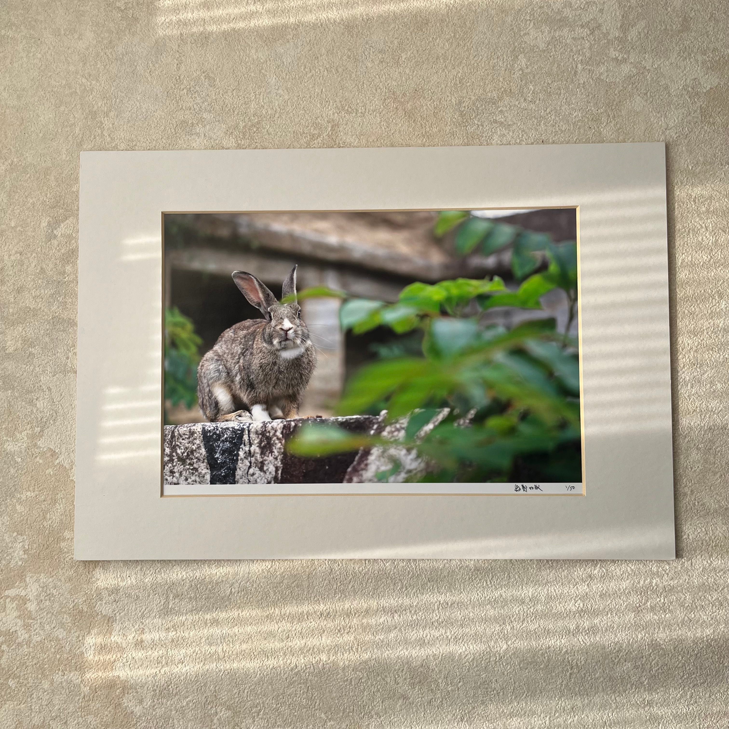 攝影藝術微噴原作 - 《愛慕》1/50