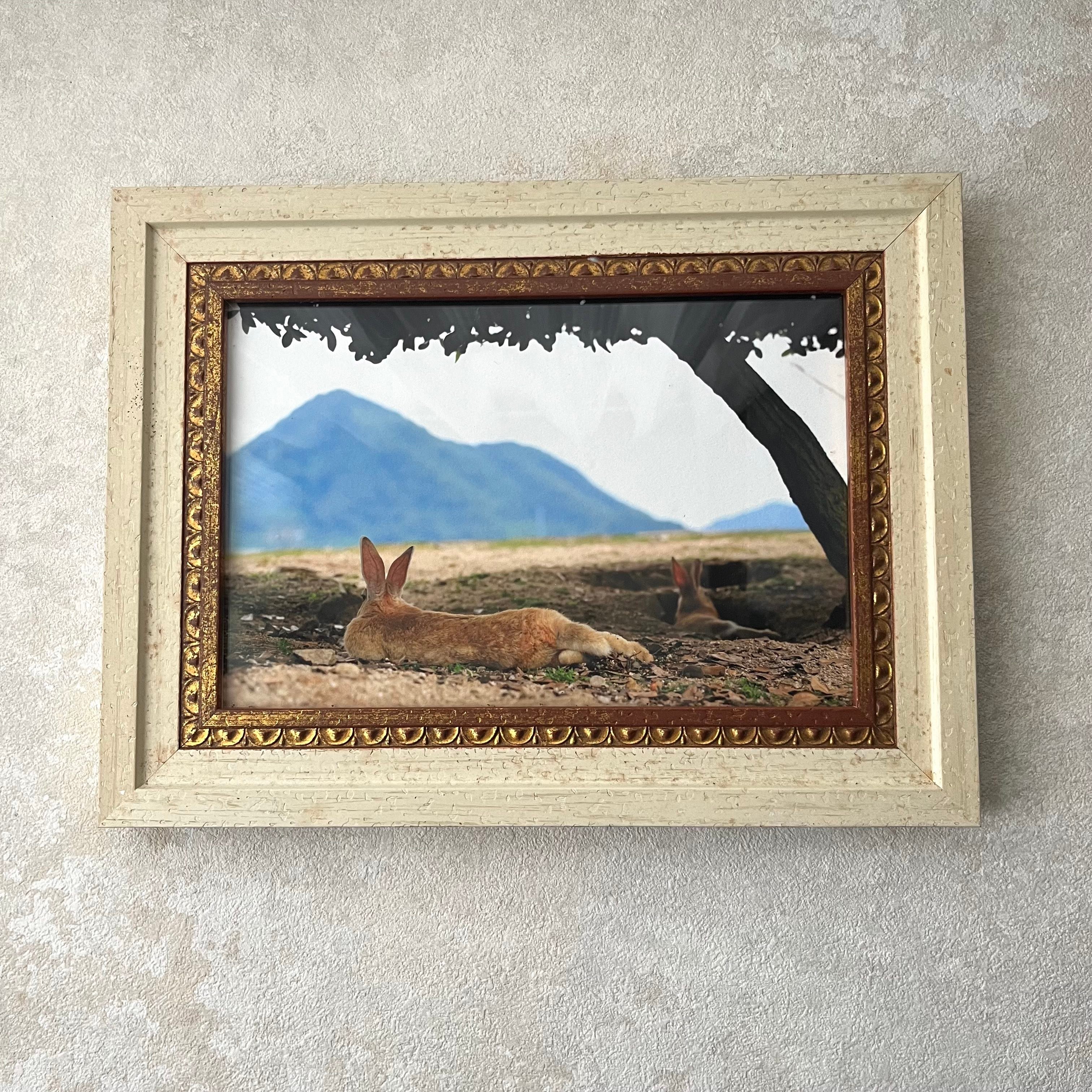 攝影藝術微噴原作 - 《悠然見南山》 2/50｜內鑲古銅雕紋框