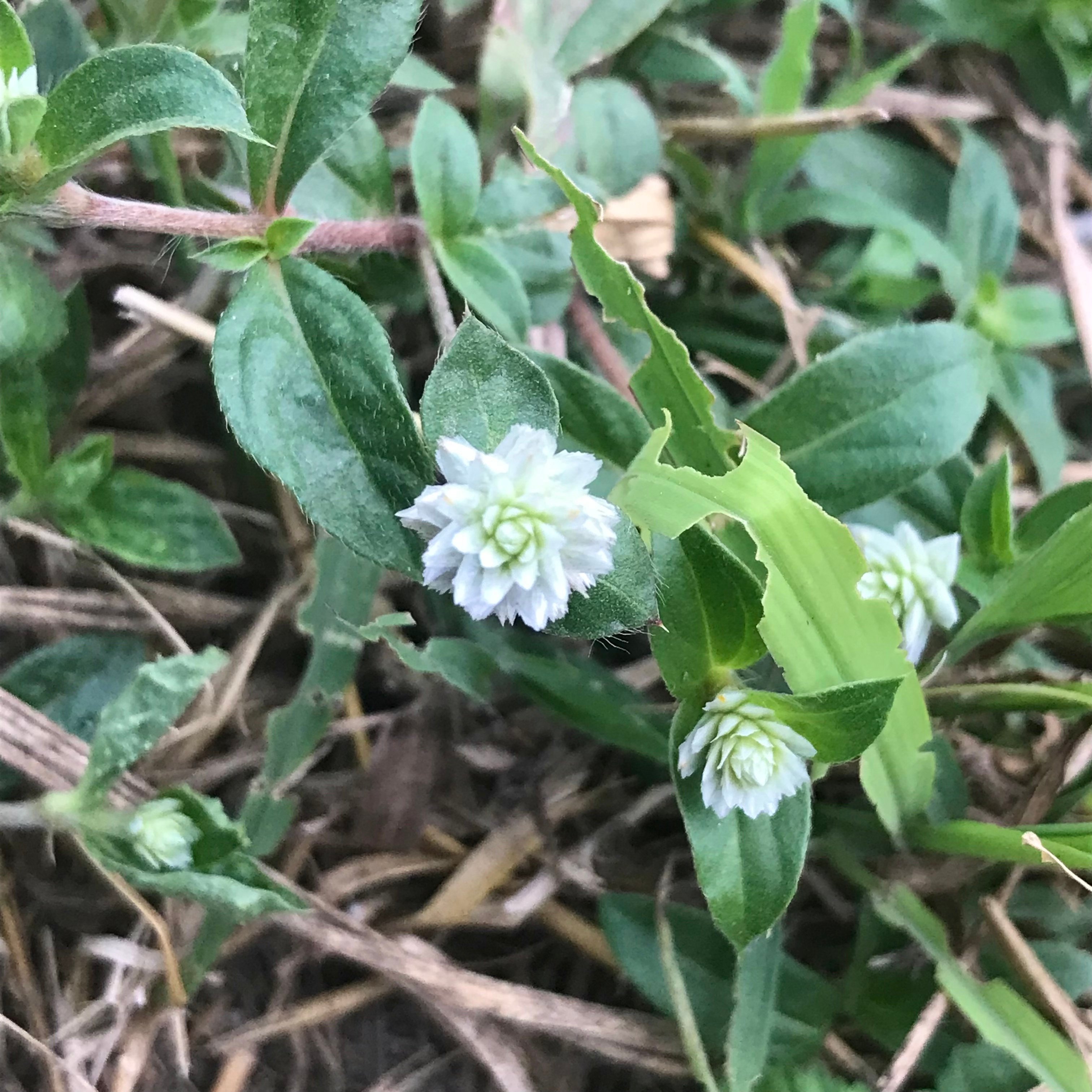 新上架 ❙  書籍