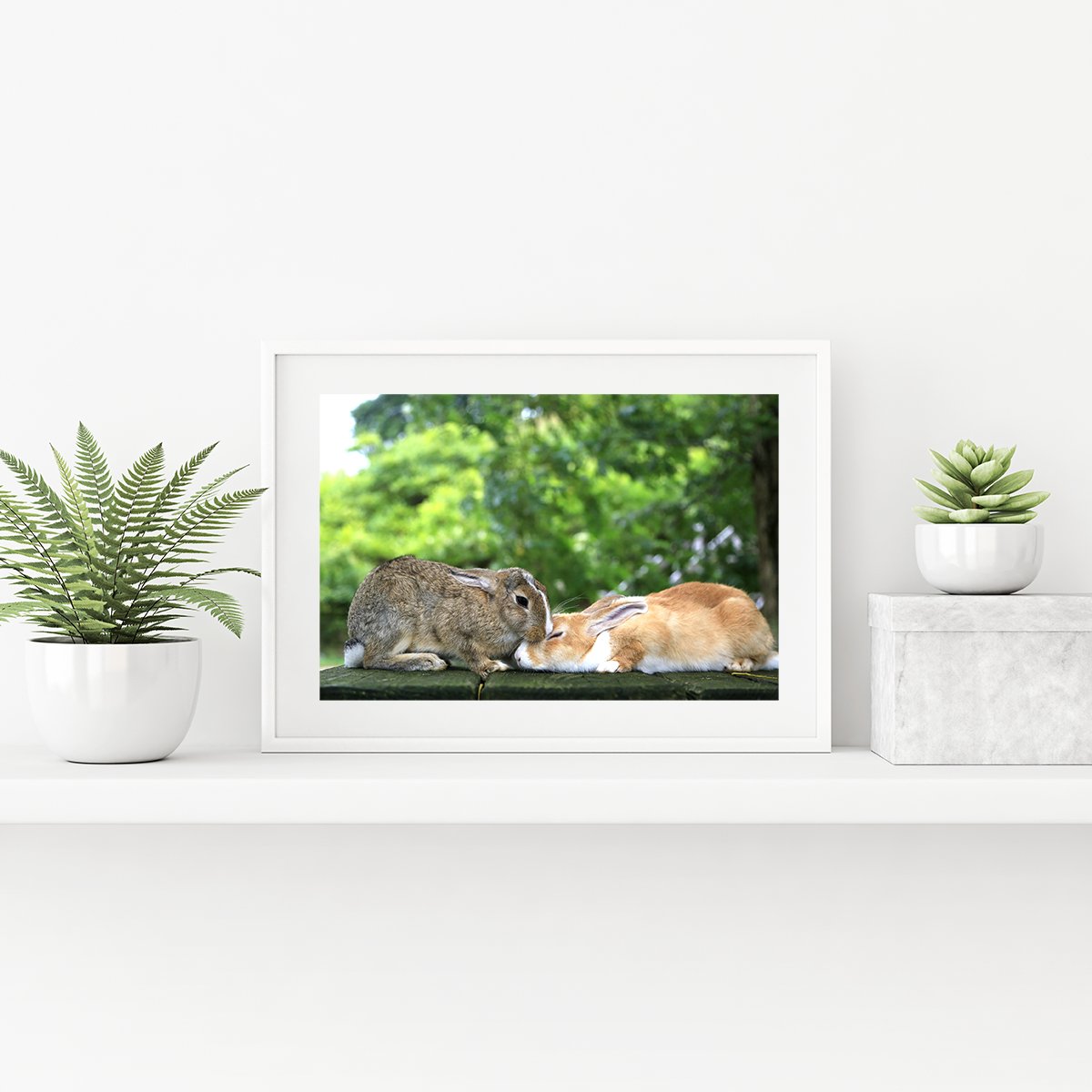 攝影藝術微噴原作 - 《親親》