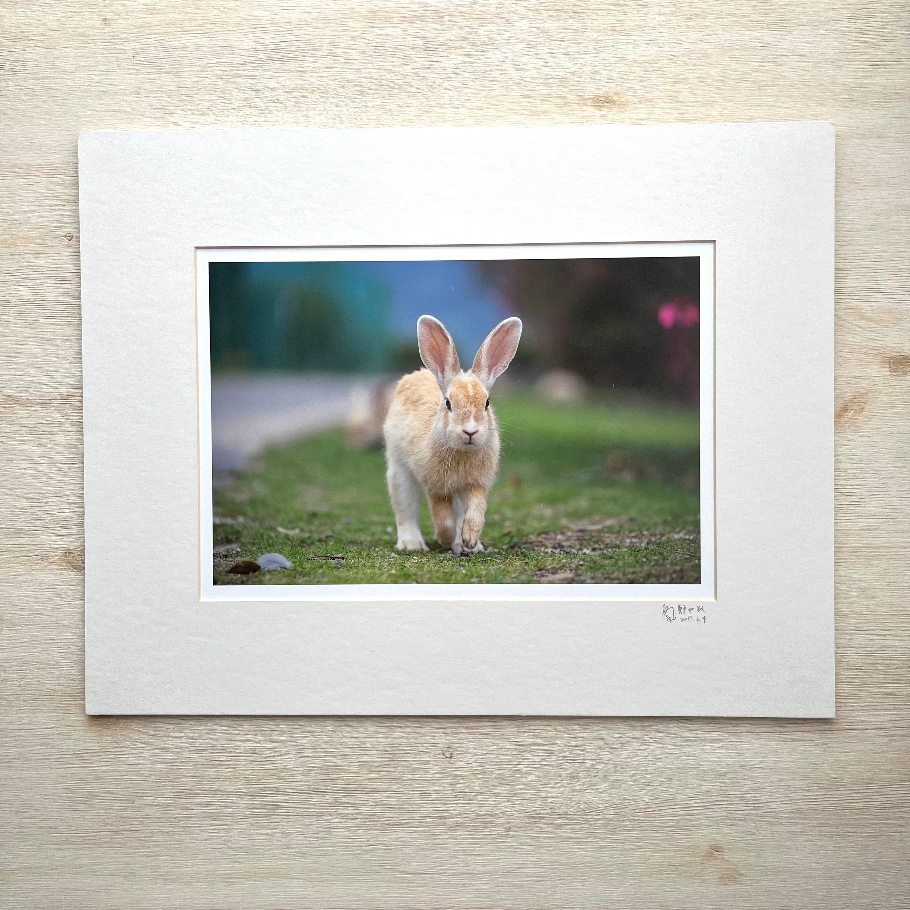 攝影藝術微噴福利品 - 13