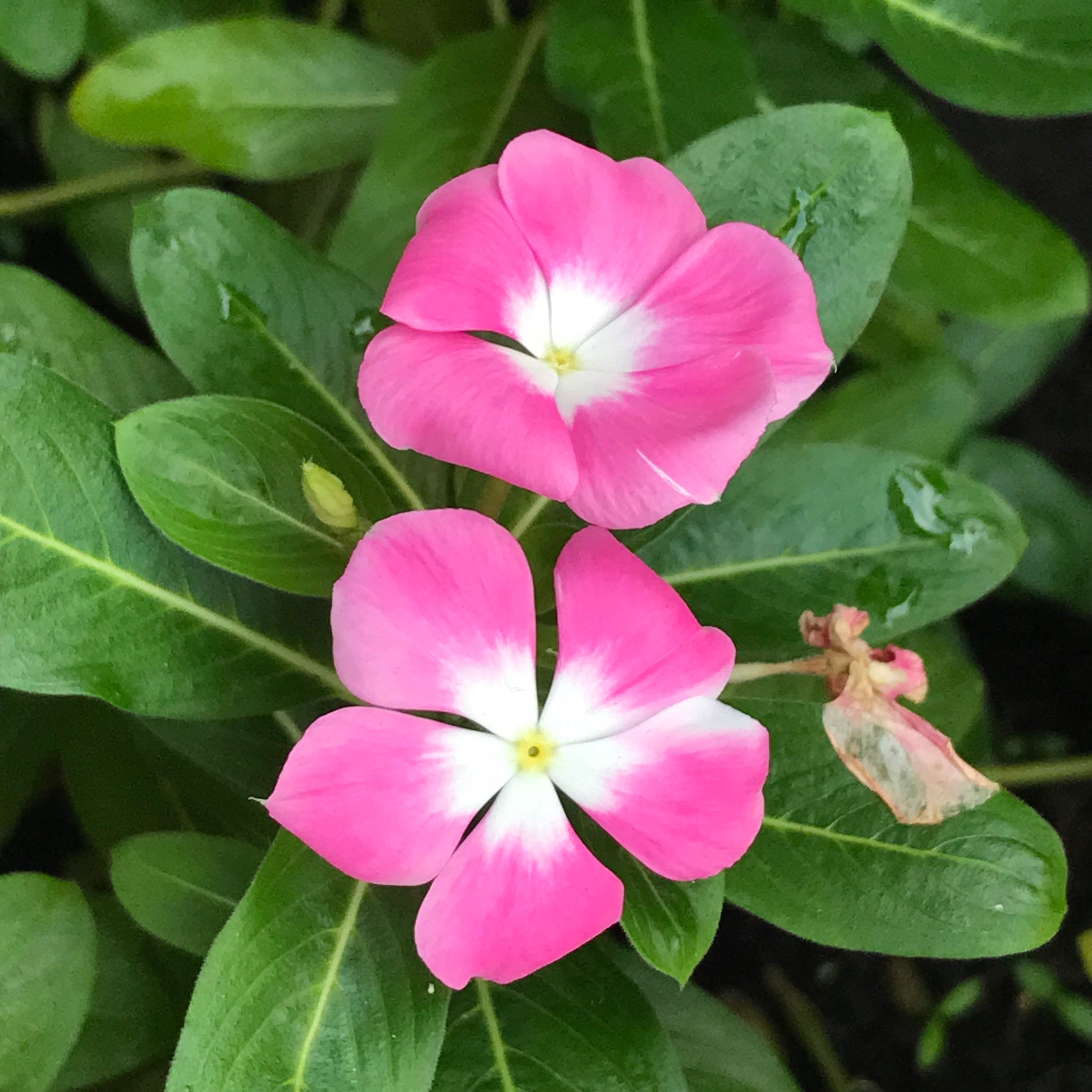 新上架 ❙  書籍