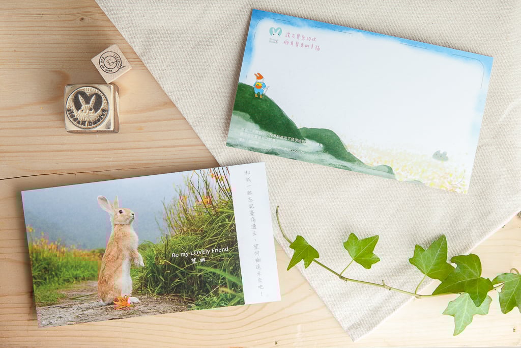 兔子攝影插畫明信片 - 《望幽》