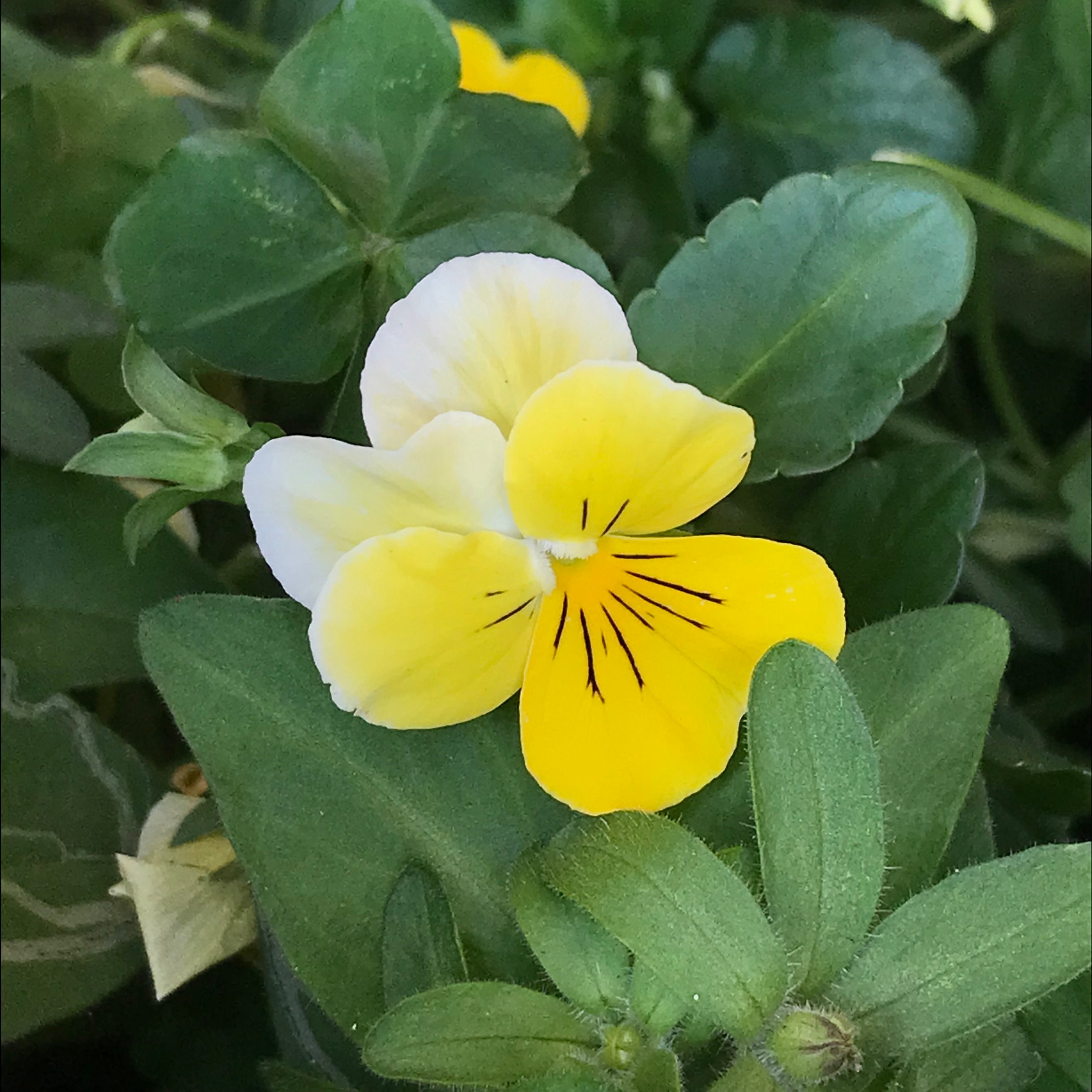 新上架 ❙  攝影藝術