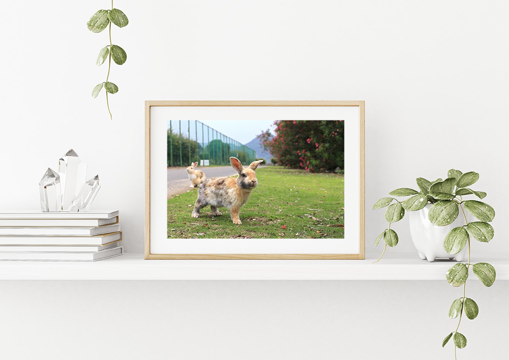 攝影藝術微噴原作 - 《天光》