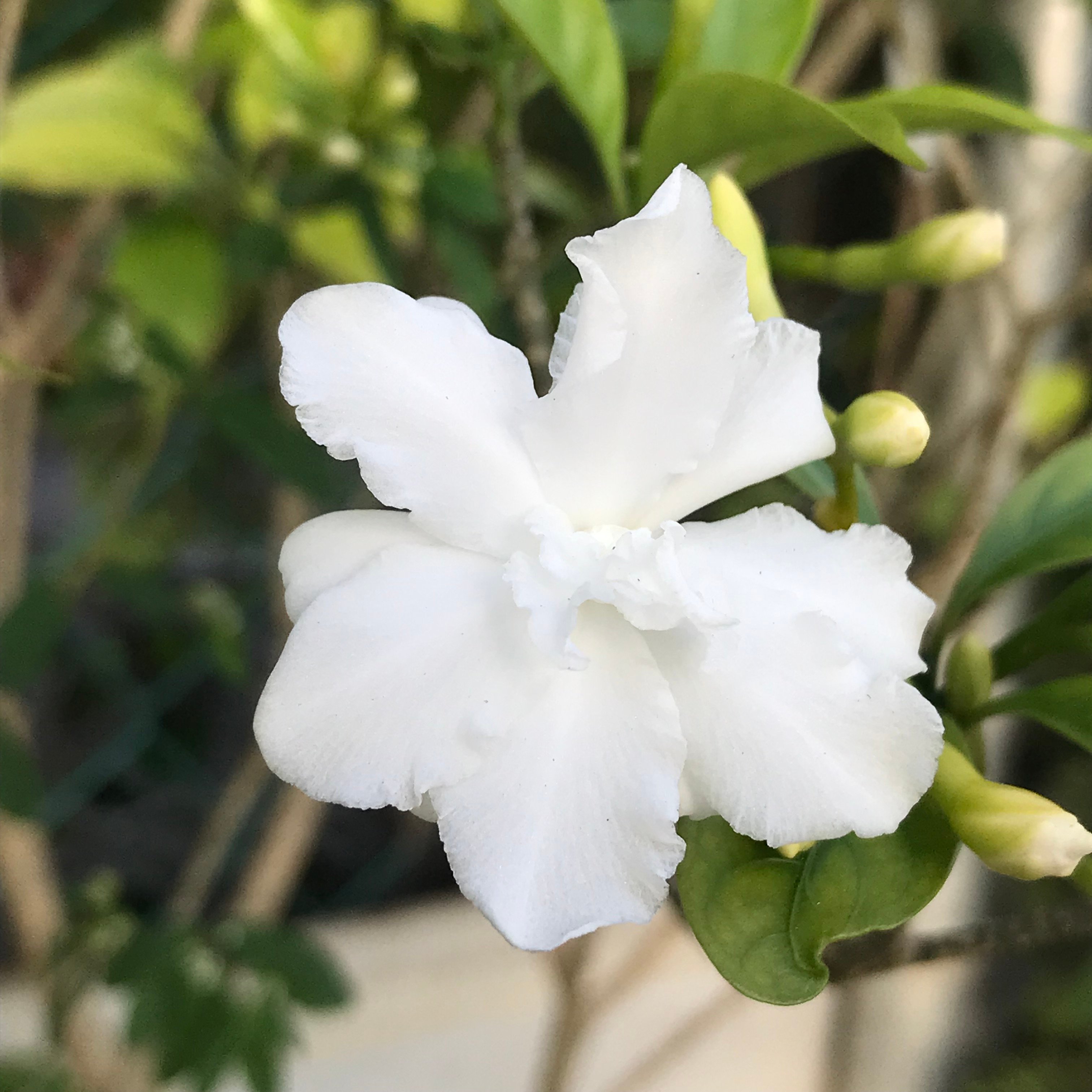 新上架 ❙  攝影藝術