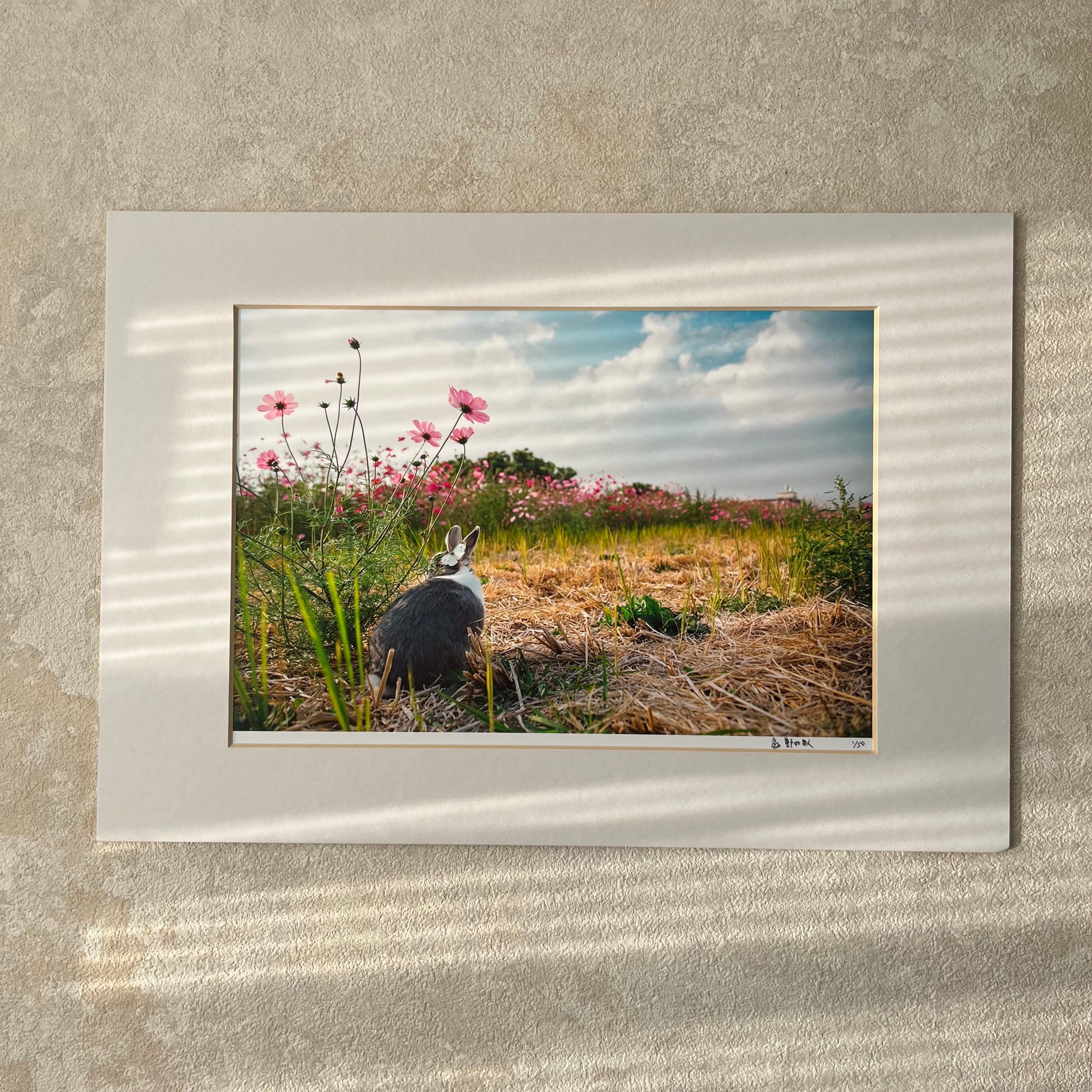 攝影藝術微噴原作 - 《雙碟私語》1/50