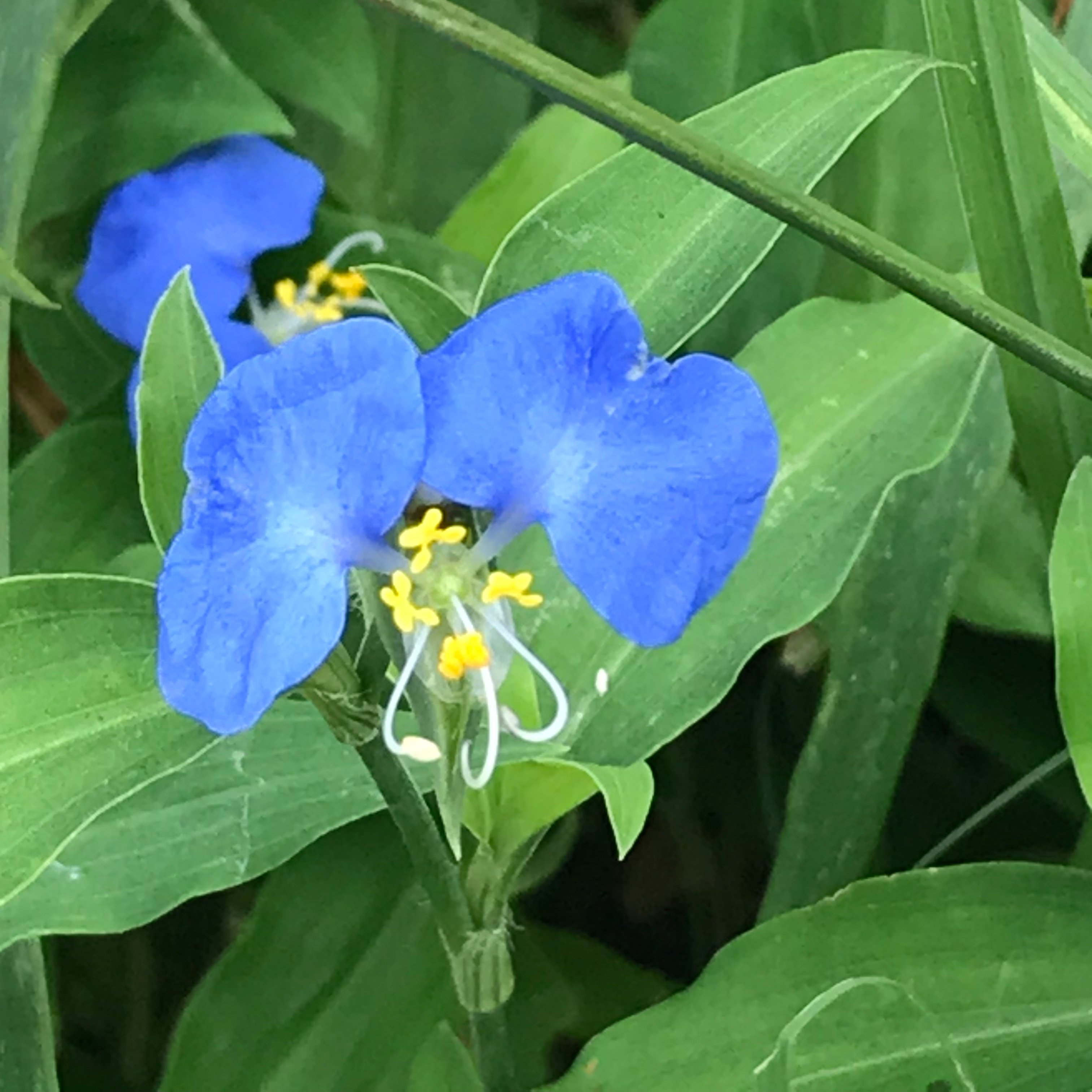新上架 ❙  書籍