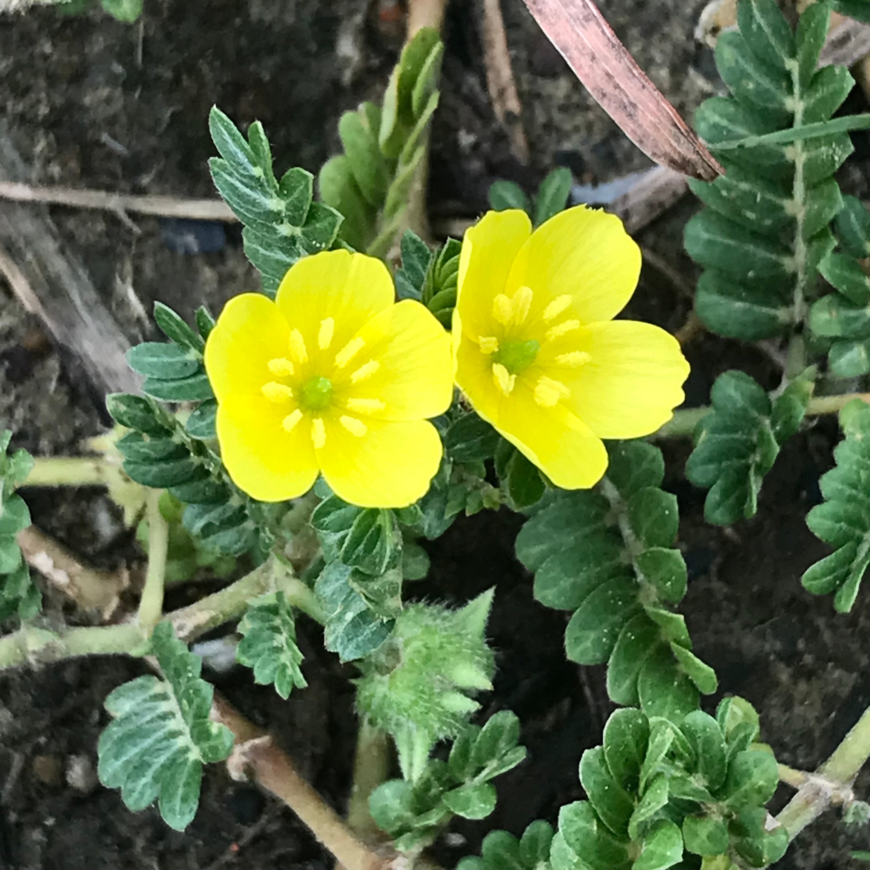 新上架 ❙ 二手書