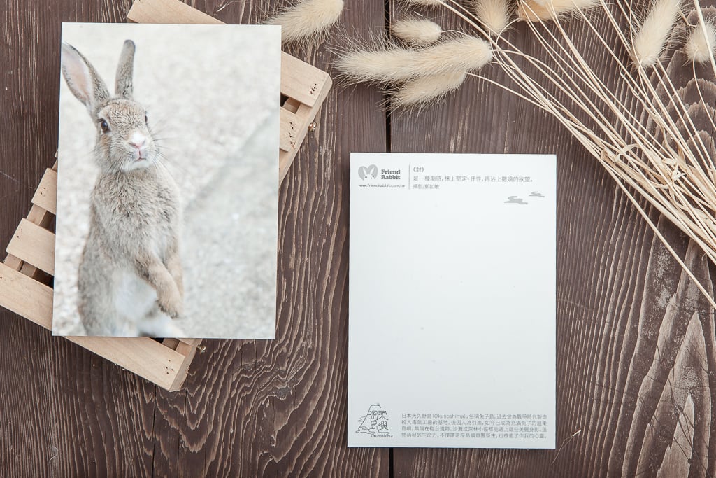 兔子攝影明信片- 《討》