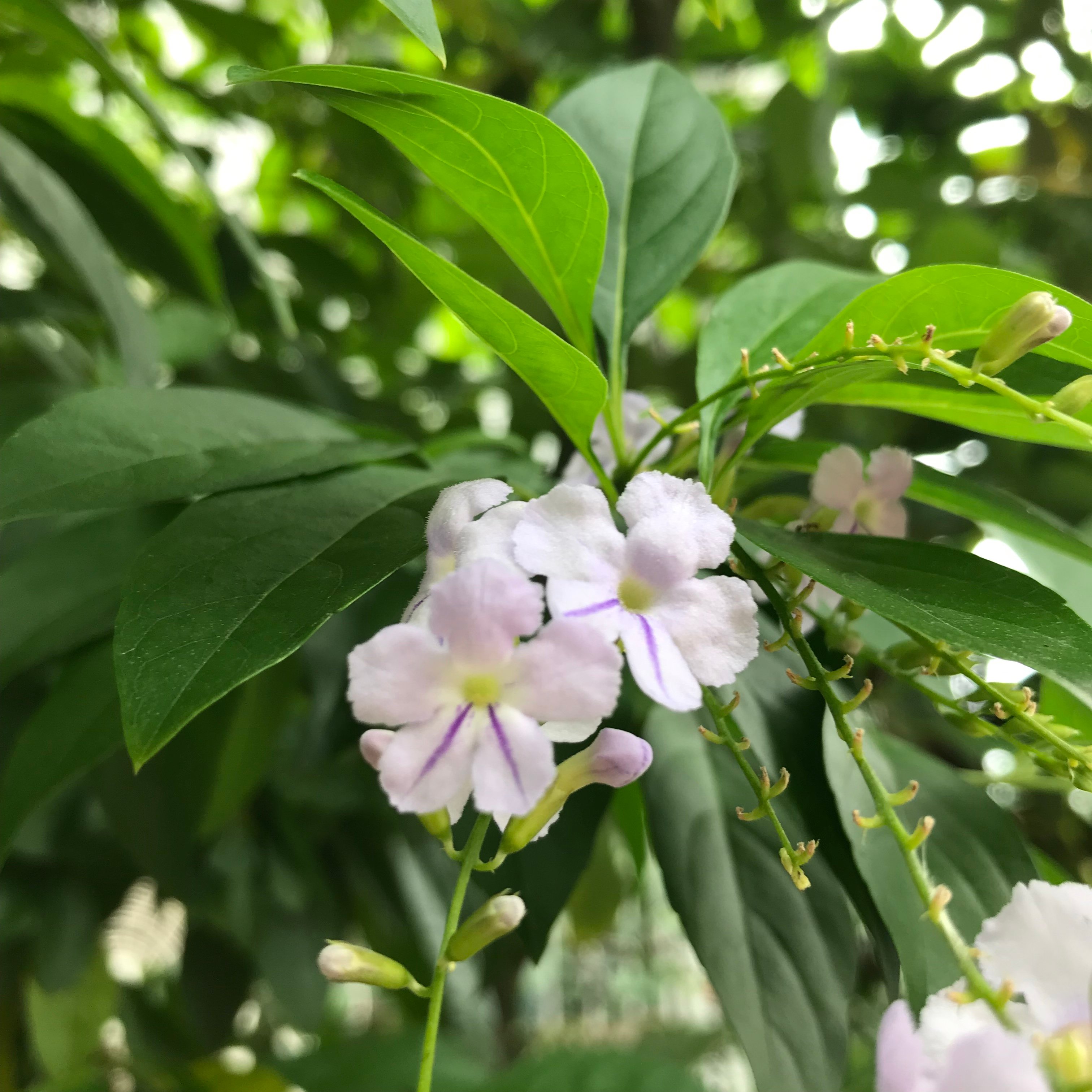 新上架 ❙  攝影藝術