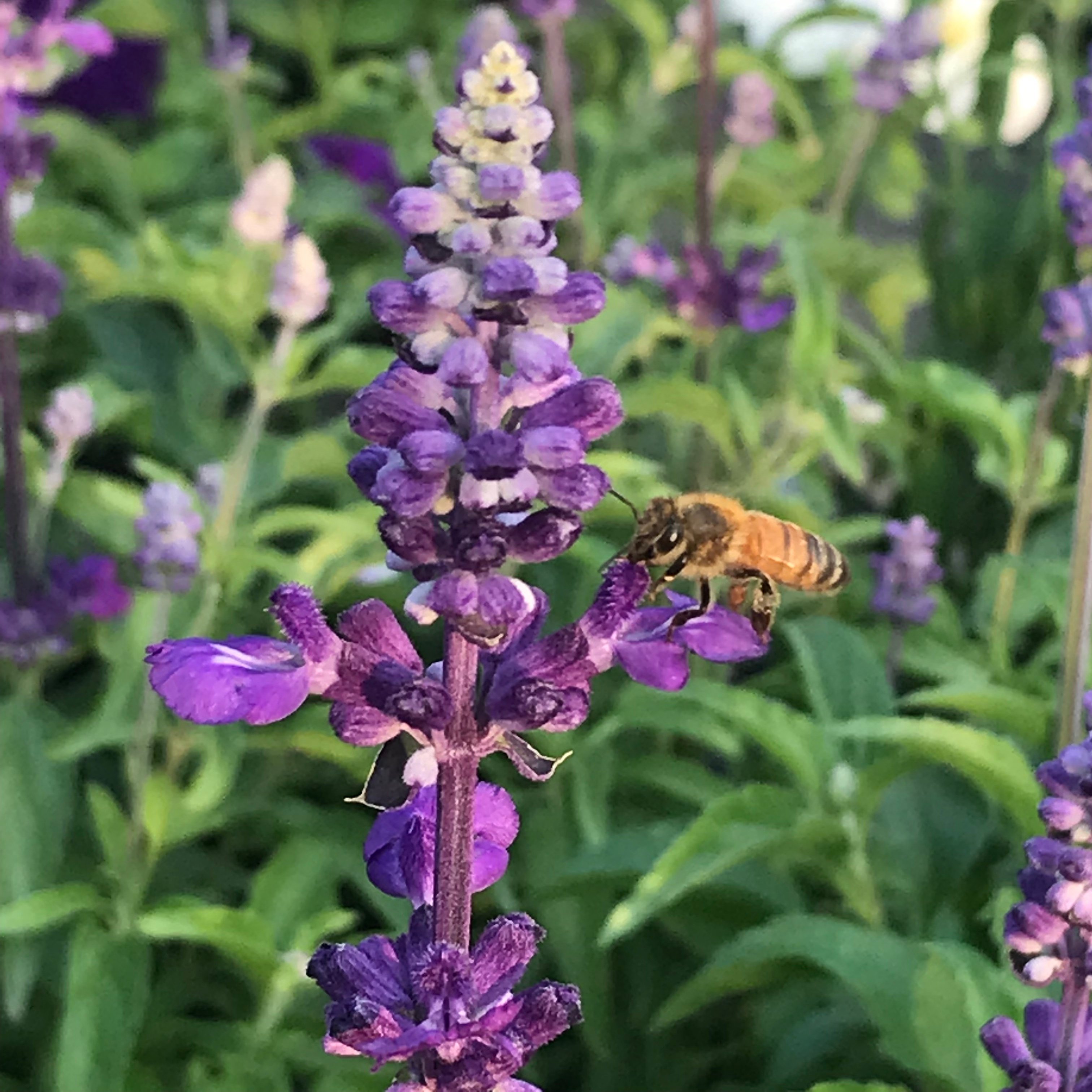 新上架 ❙ 生活系列