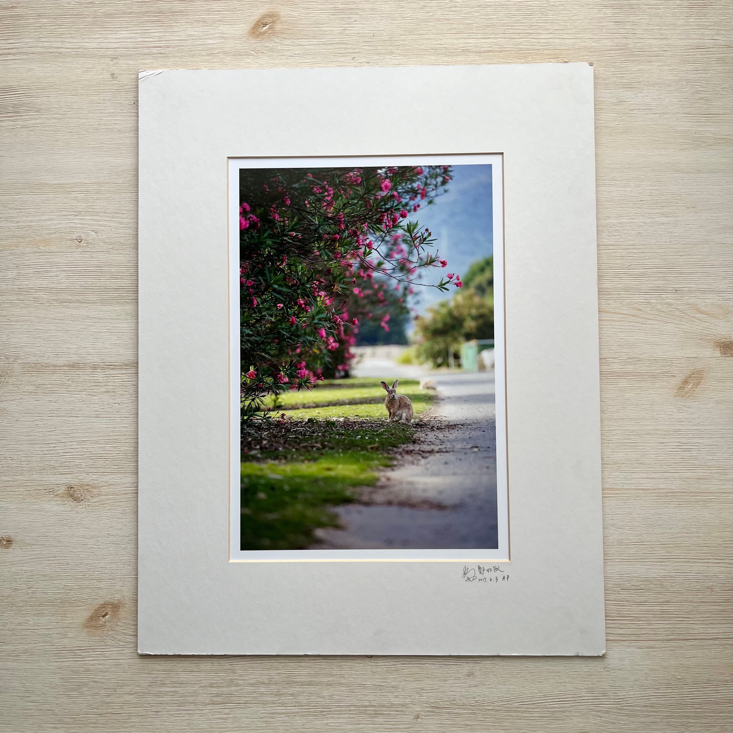 攝影藝術微噴福利品 - 01