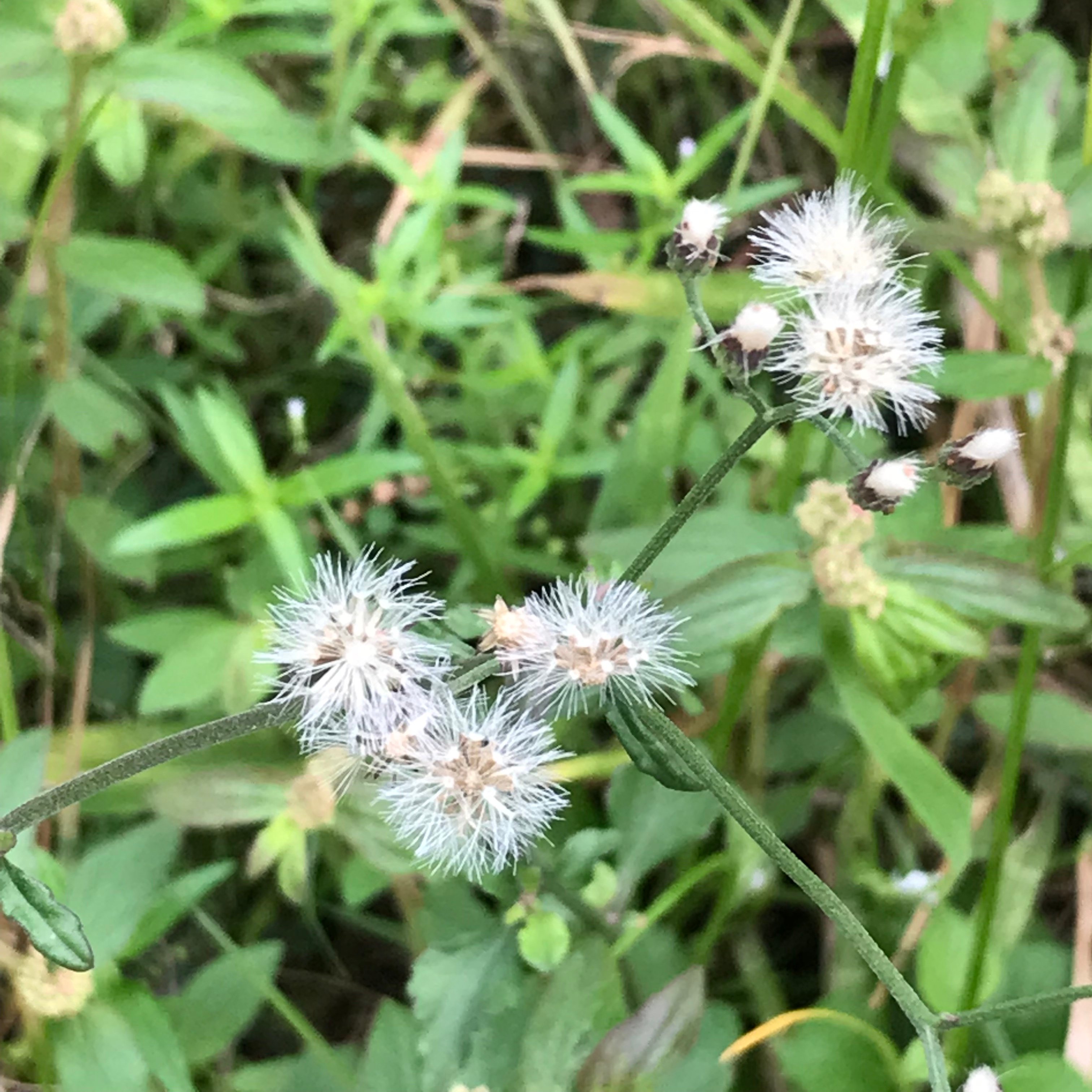 新上架 ❙  書籍