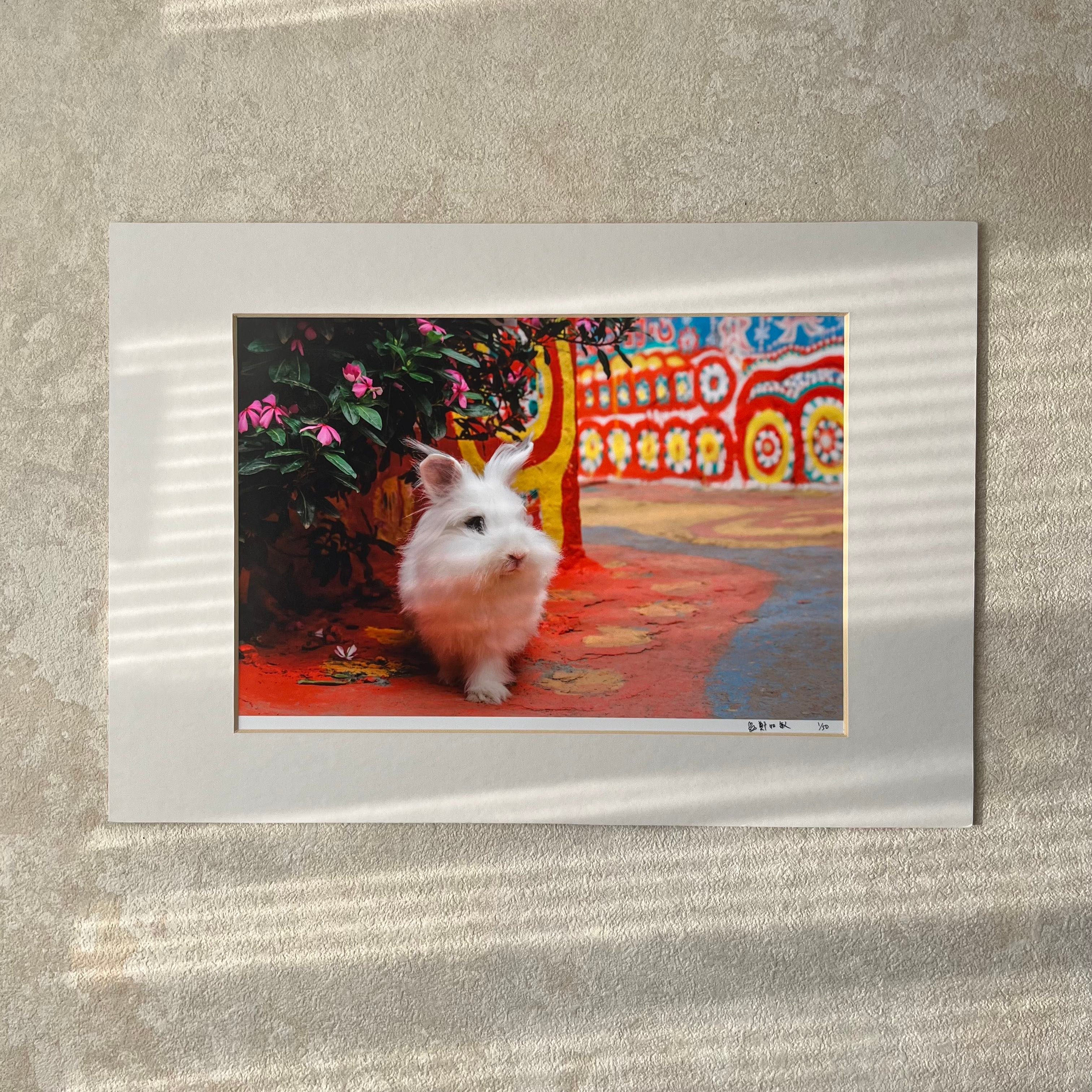 攝影藝術微噴原作 - 《魔幻之旅》1/50