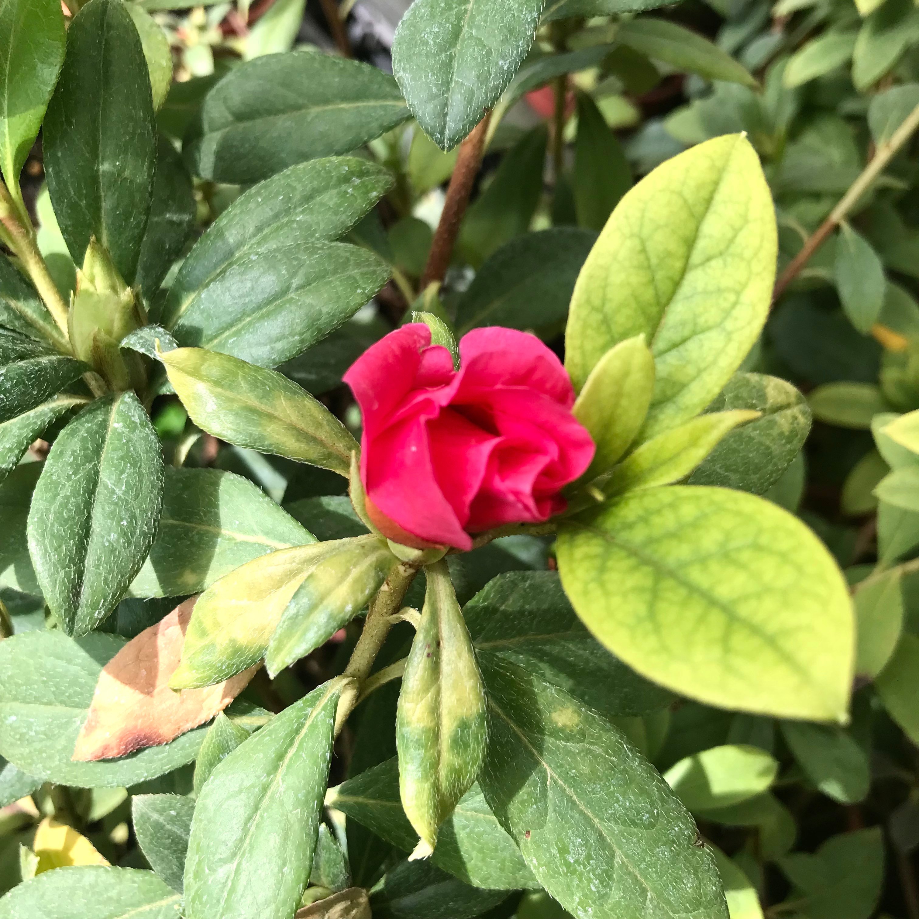 新上架 ❙  二手書