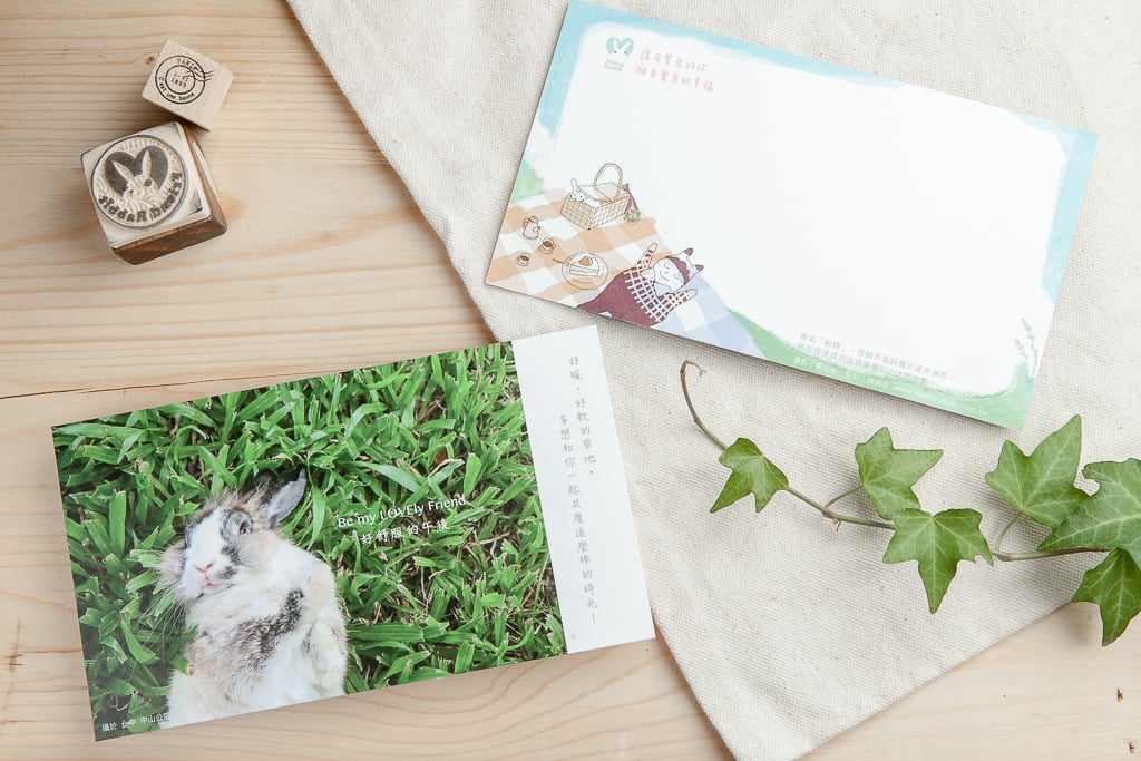 兔子攝影插畫明信片 - 《好舒服的午後》