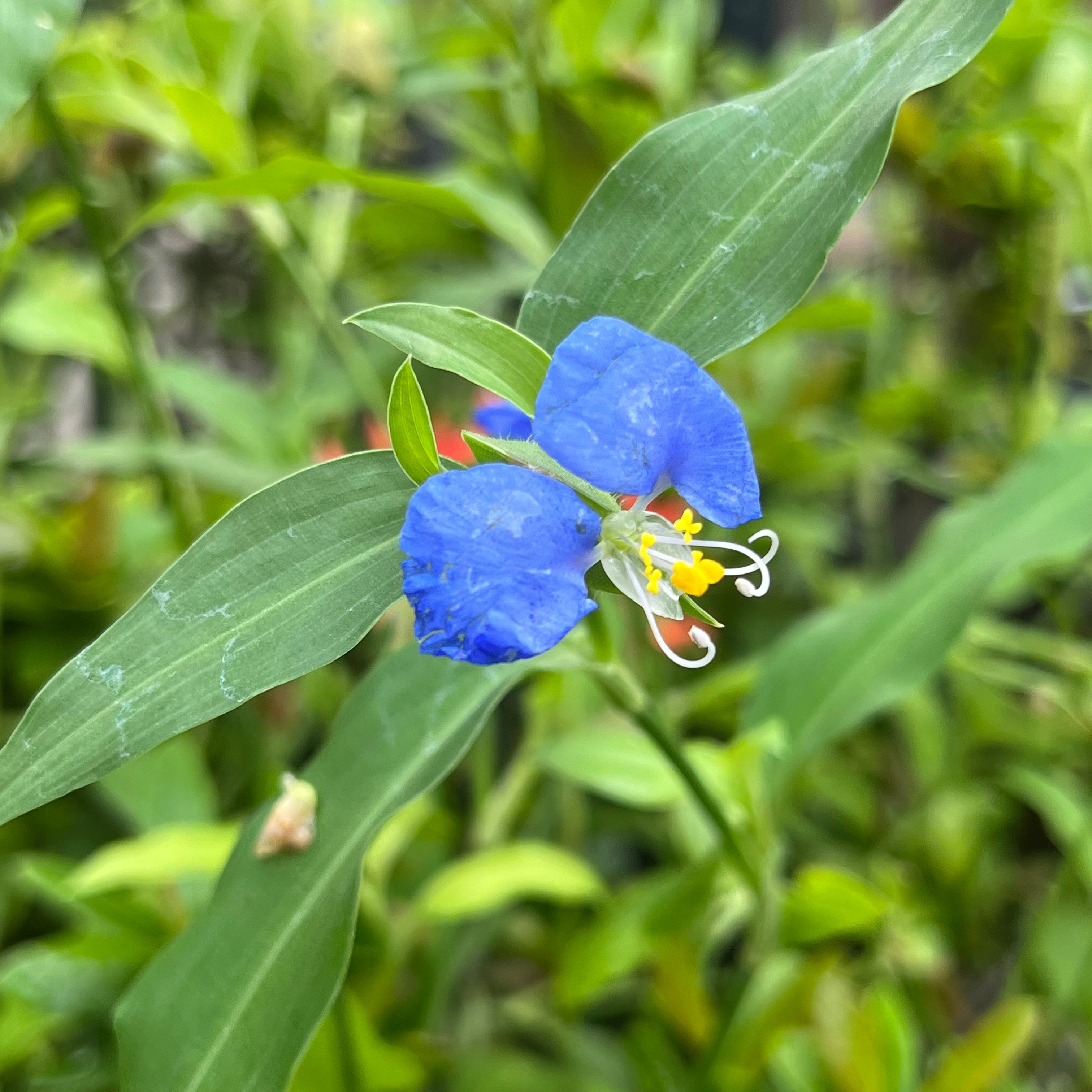 新上架 ❙  Youtube 頻道影片