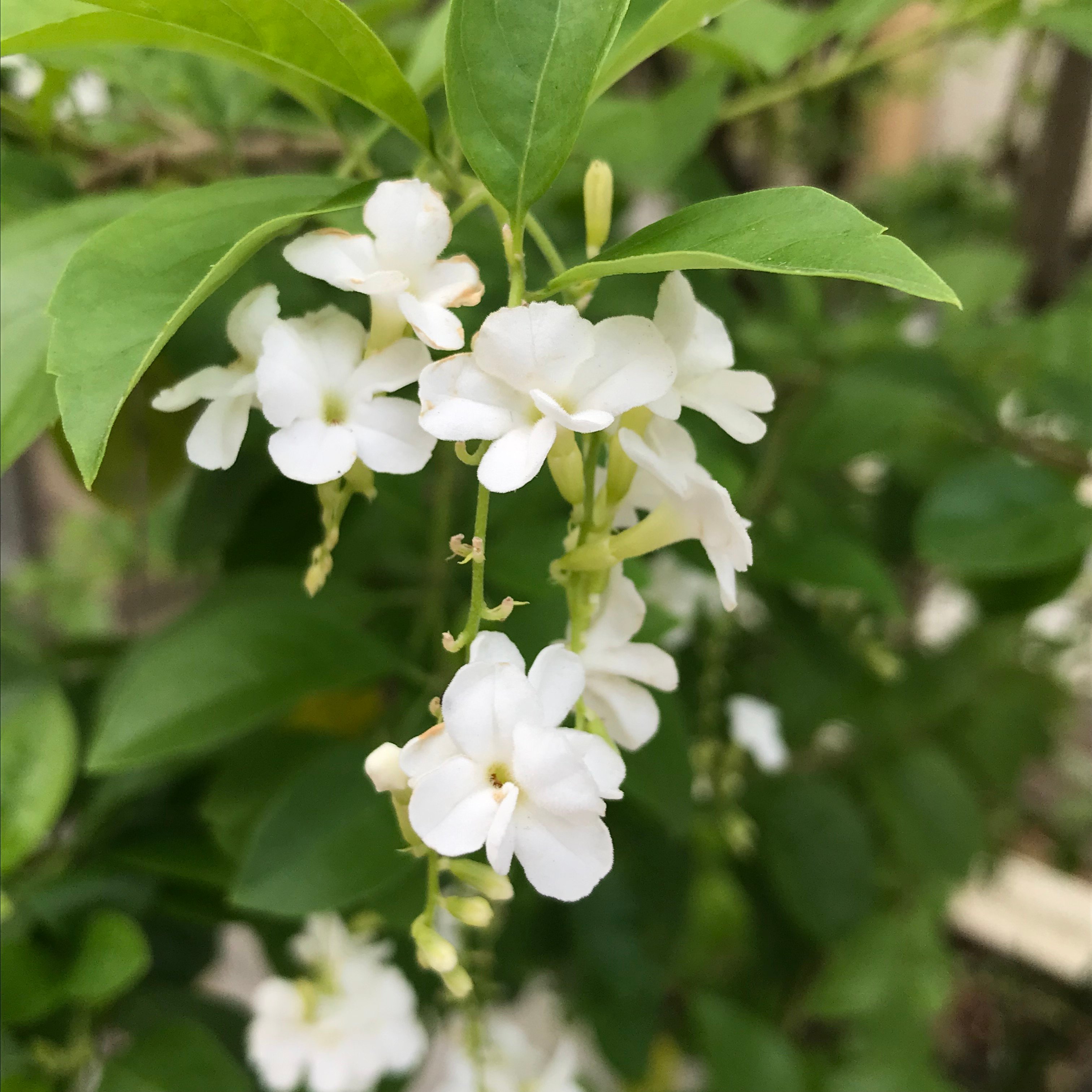 新上架 ❙  攝影藝術