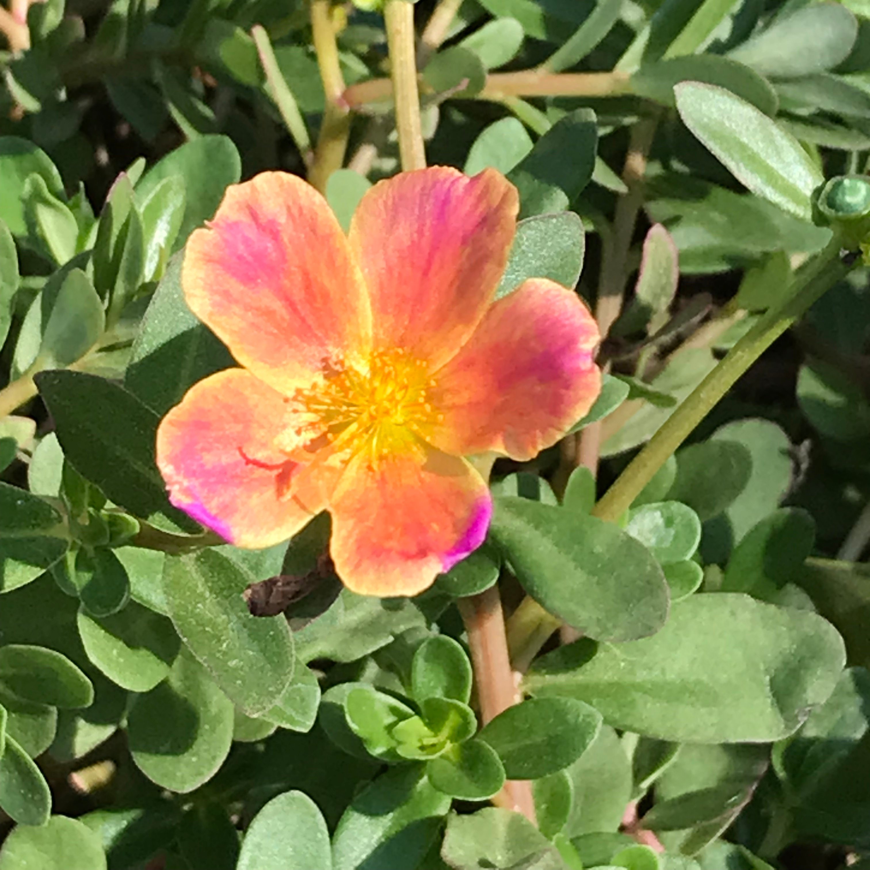 新上架 ❙  二手書