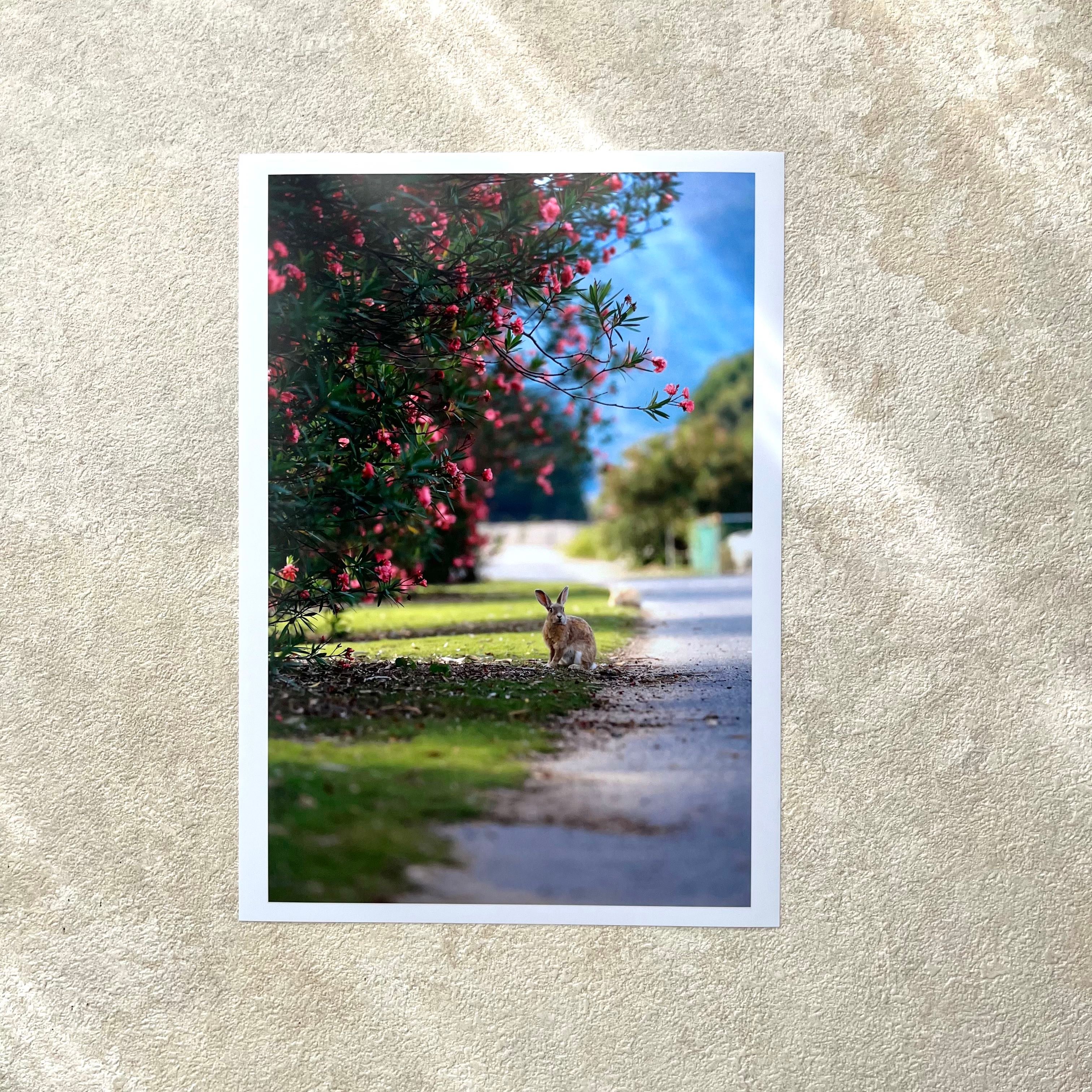 攝影藝術微噴原作 - 《最好的風景》 2/50