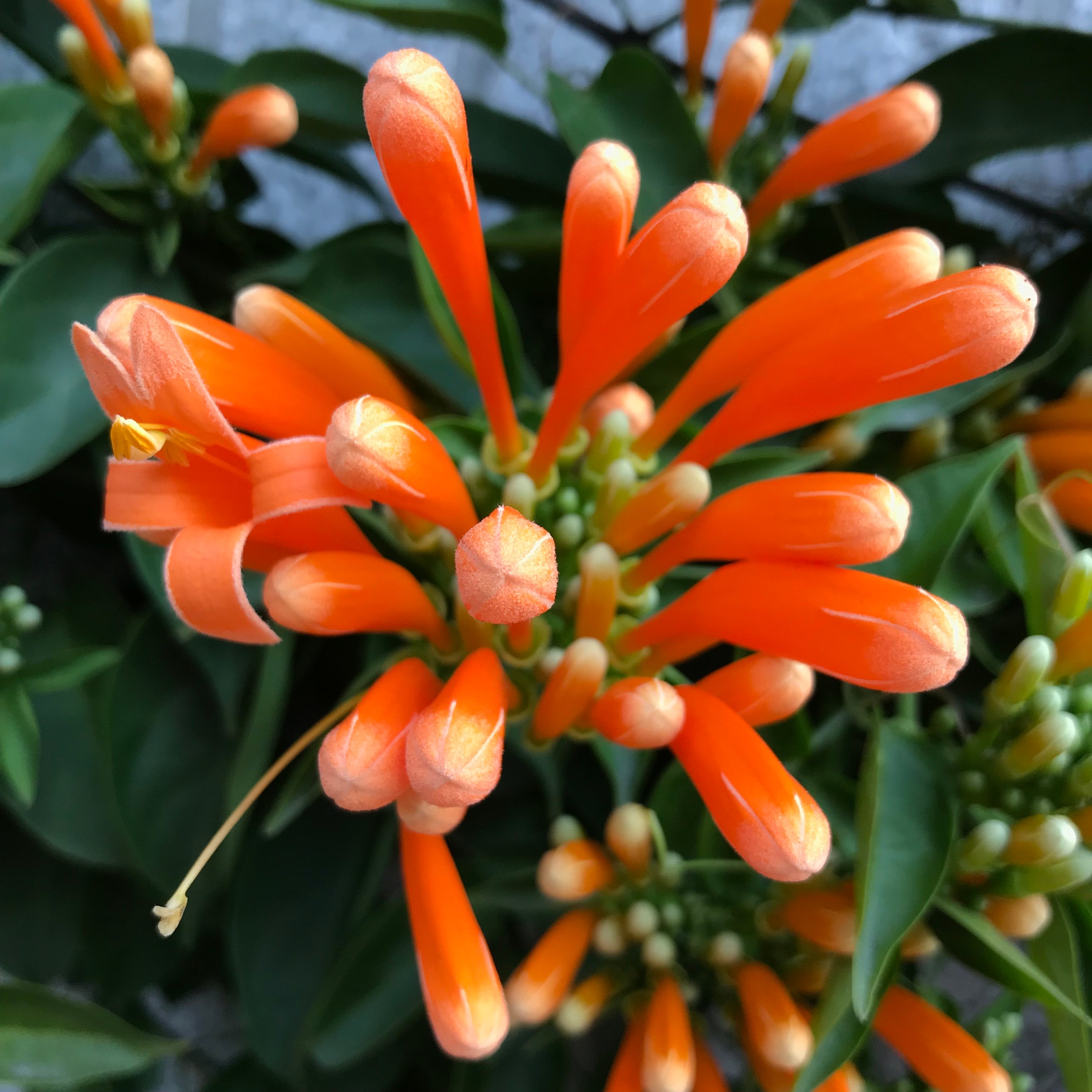 新上架 ❙  書籍