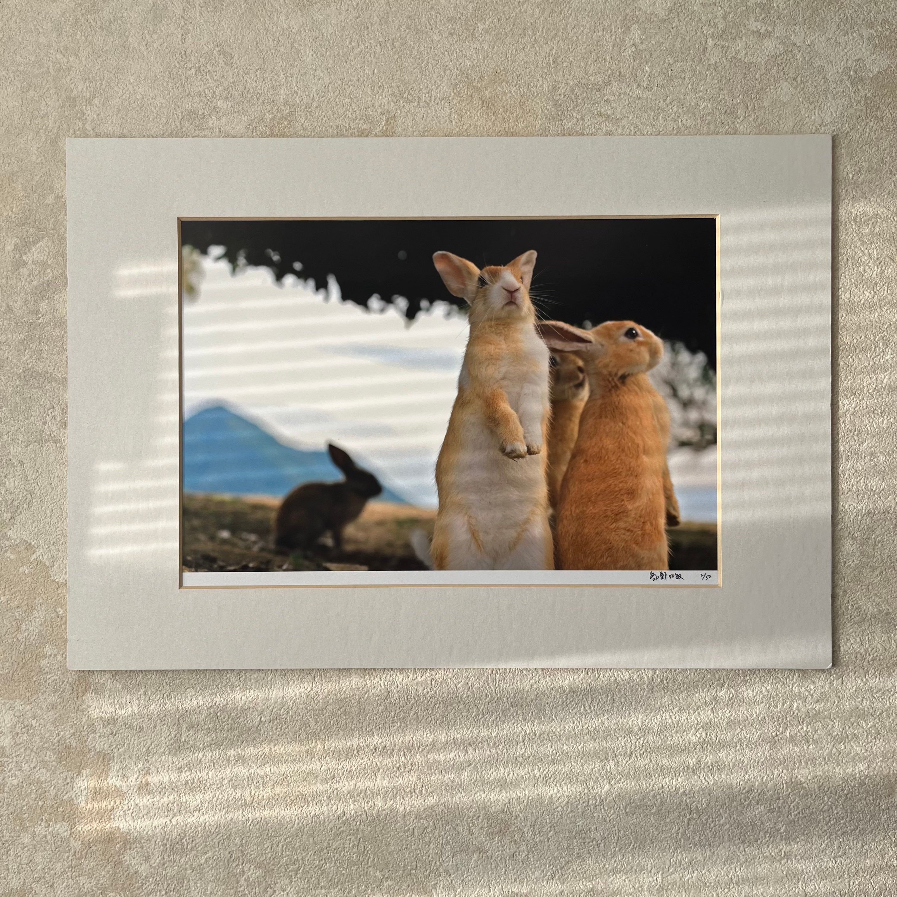 攝影藝術微噴原作 - 《眾生》2/50