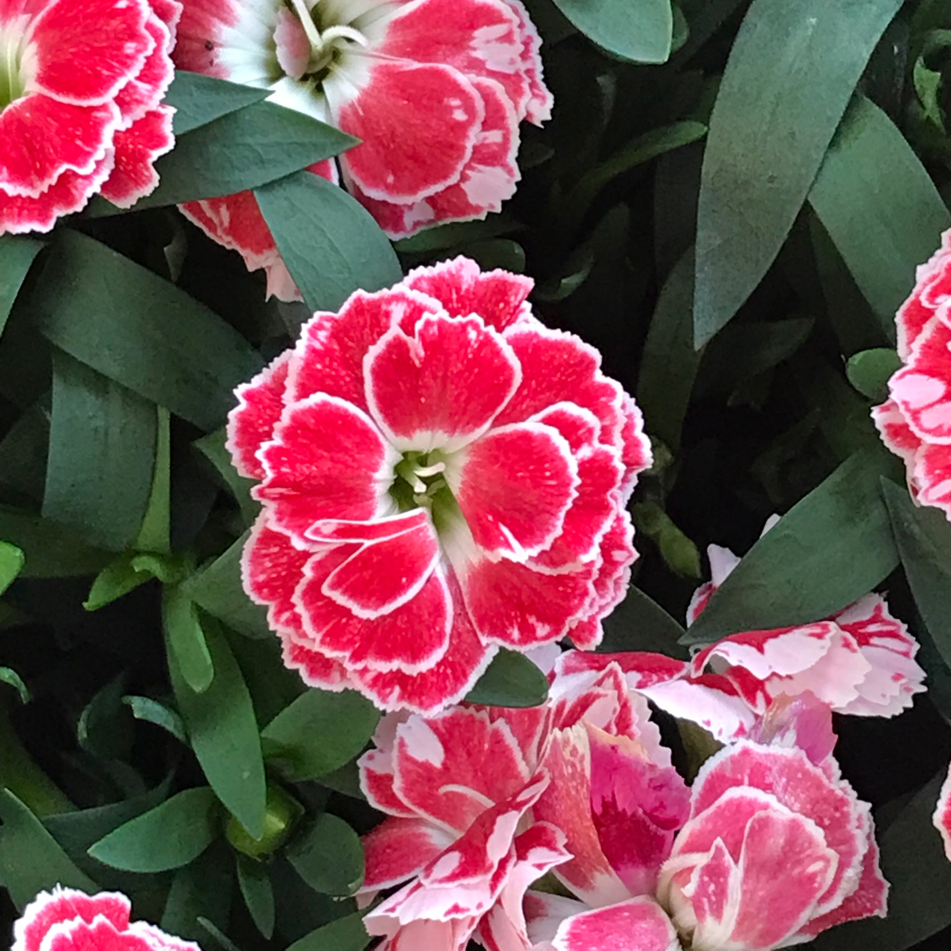 新上架 ❙  書籍